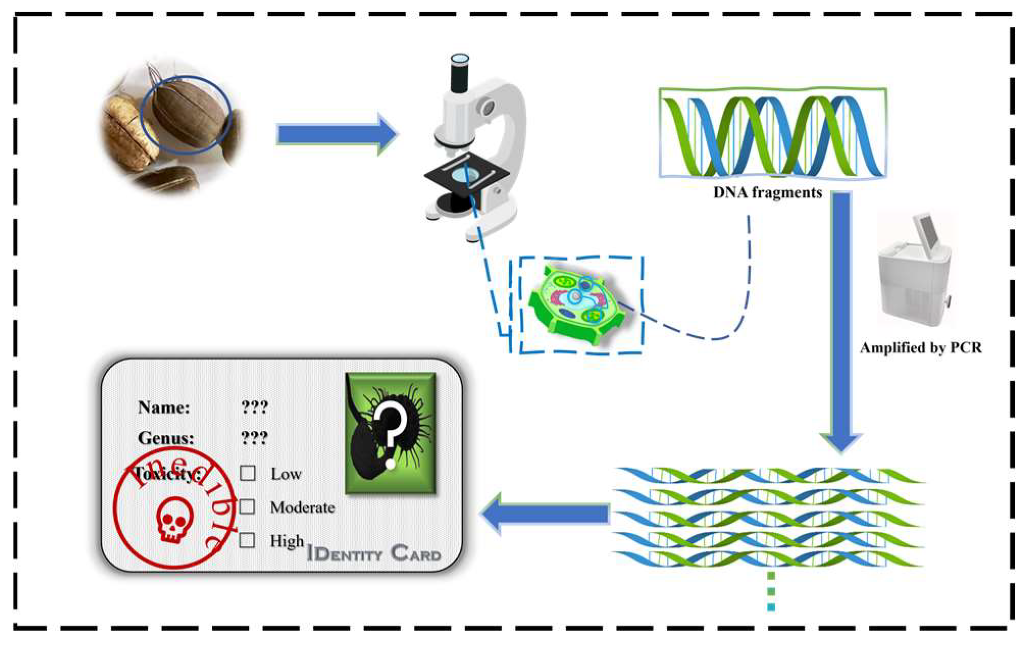 Molecules 29 00081 g002 Molecules 29 00081 g002