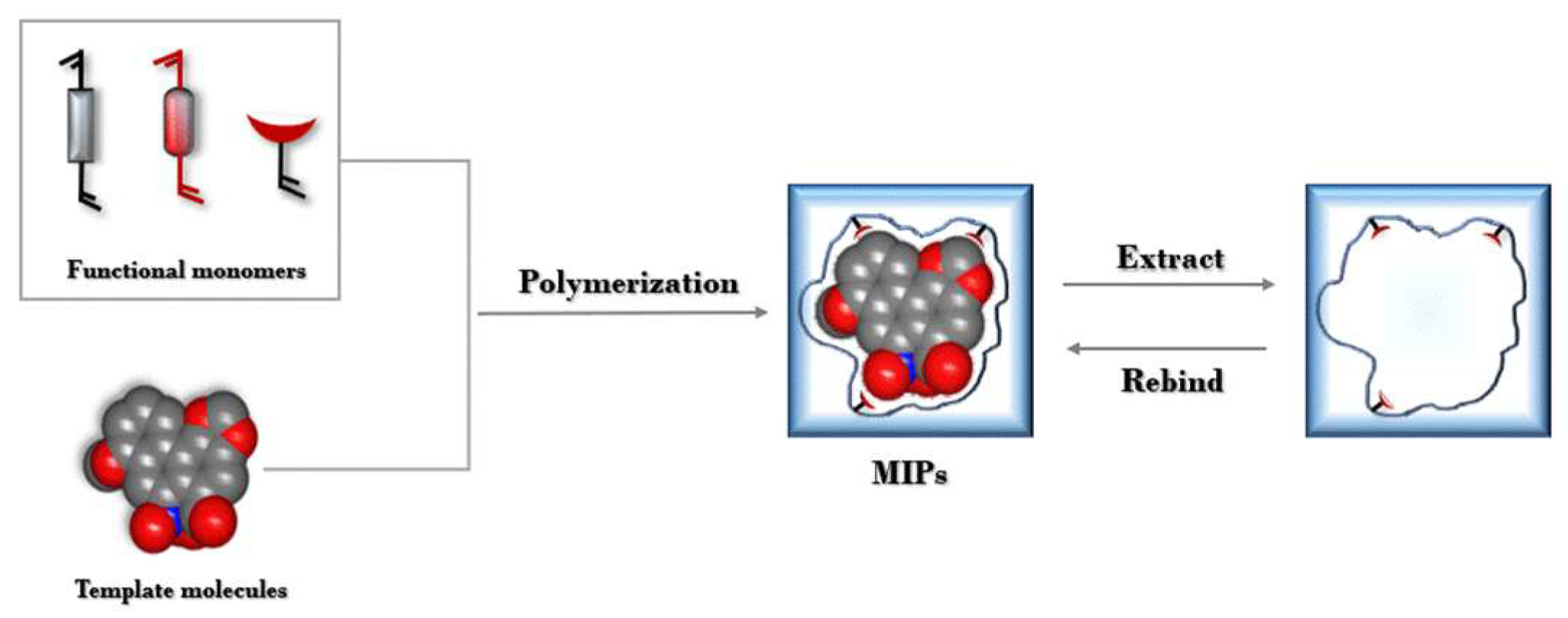 Molecules 29 00081 g004 Molecules 29 00081 g004