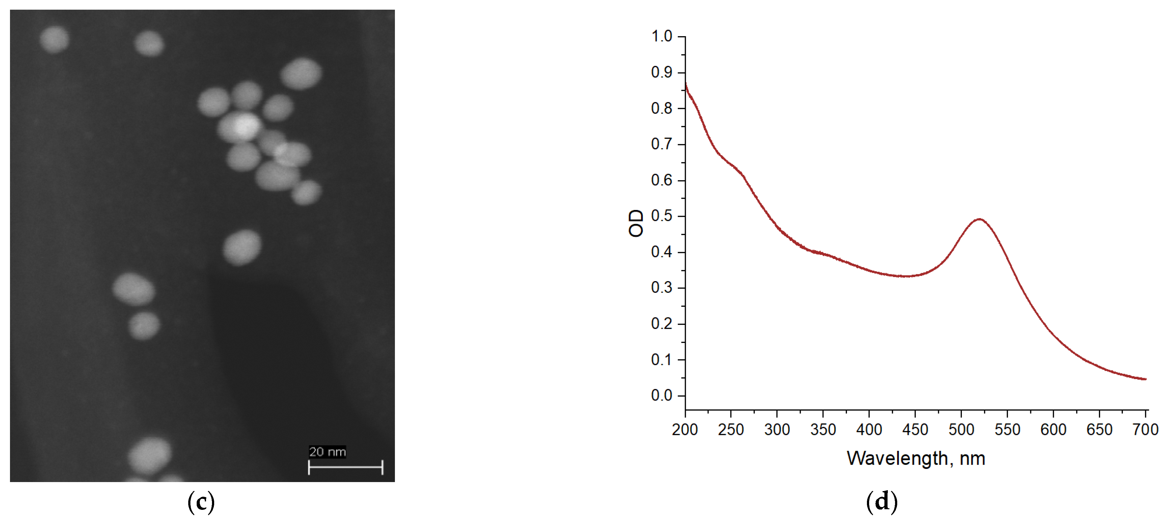 Molecules 29 00082 g001b