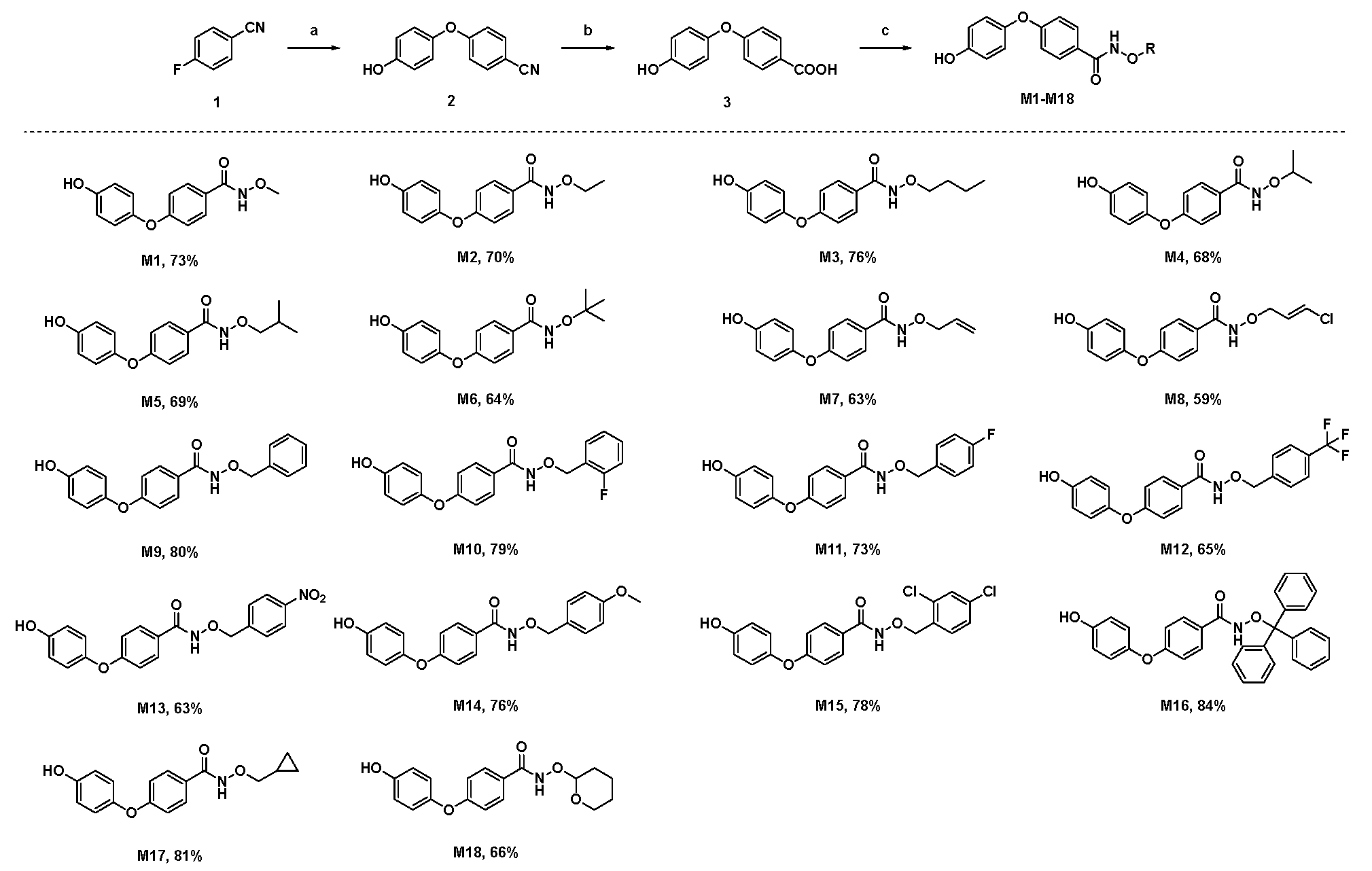 Molecules 29 00083 g002