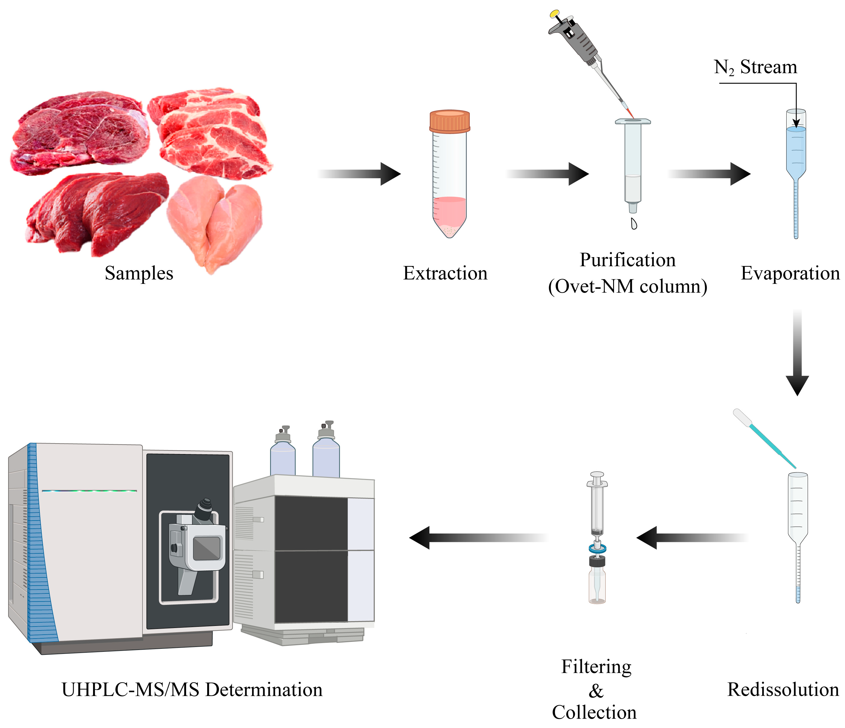 Molecules 29 00084 g006