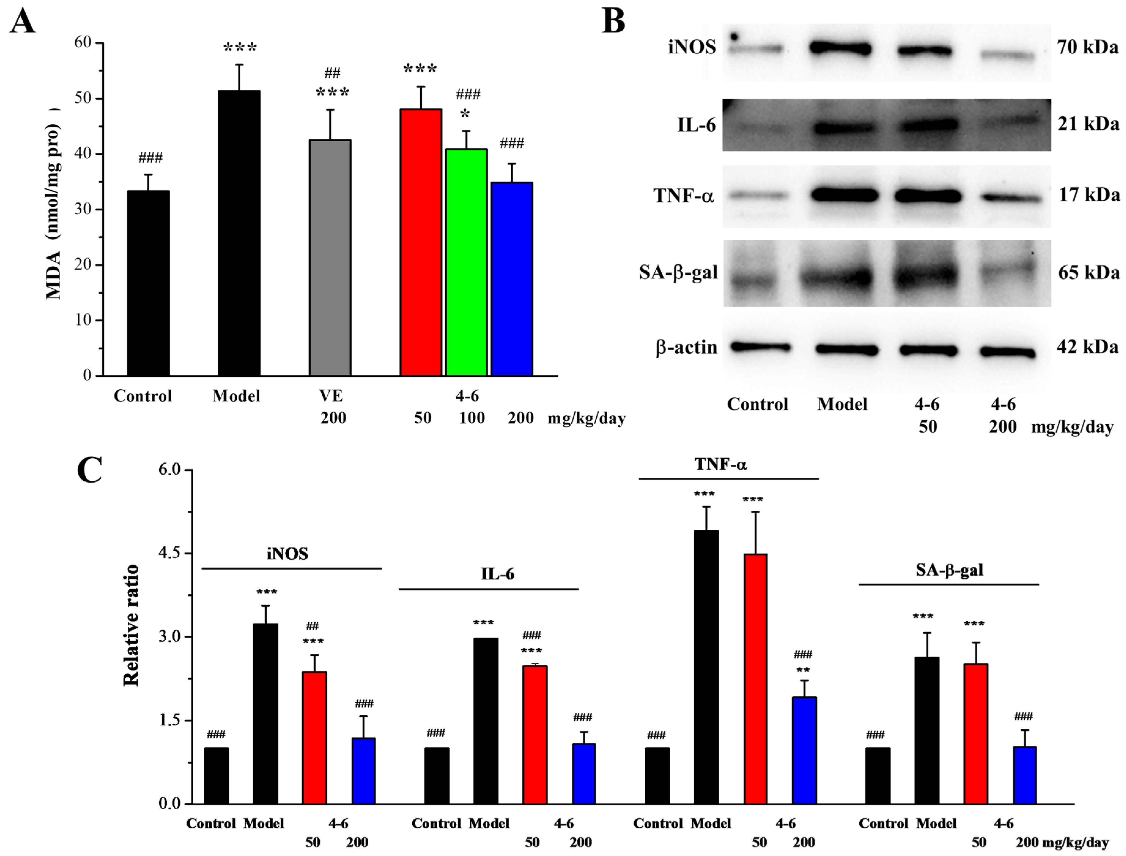 Molecules 29 00086 g011