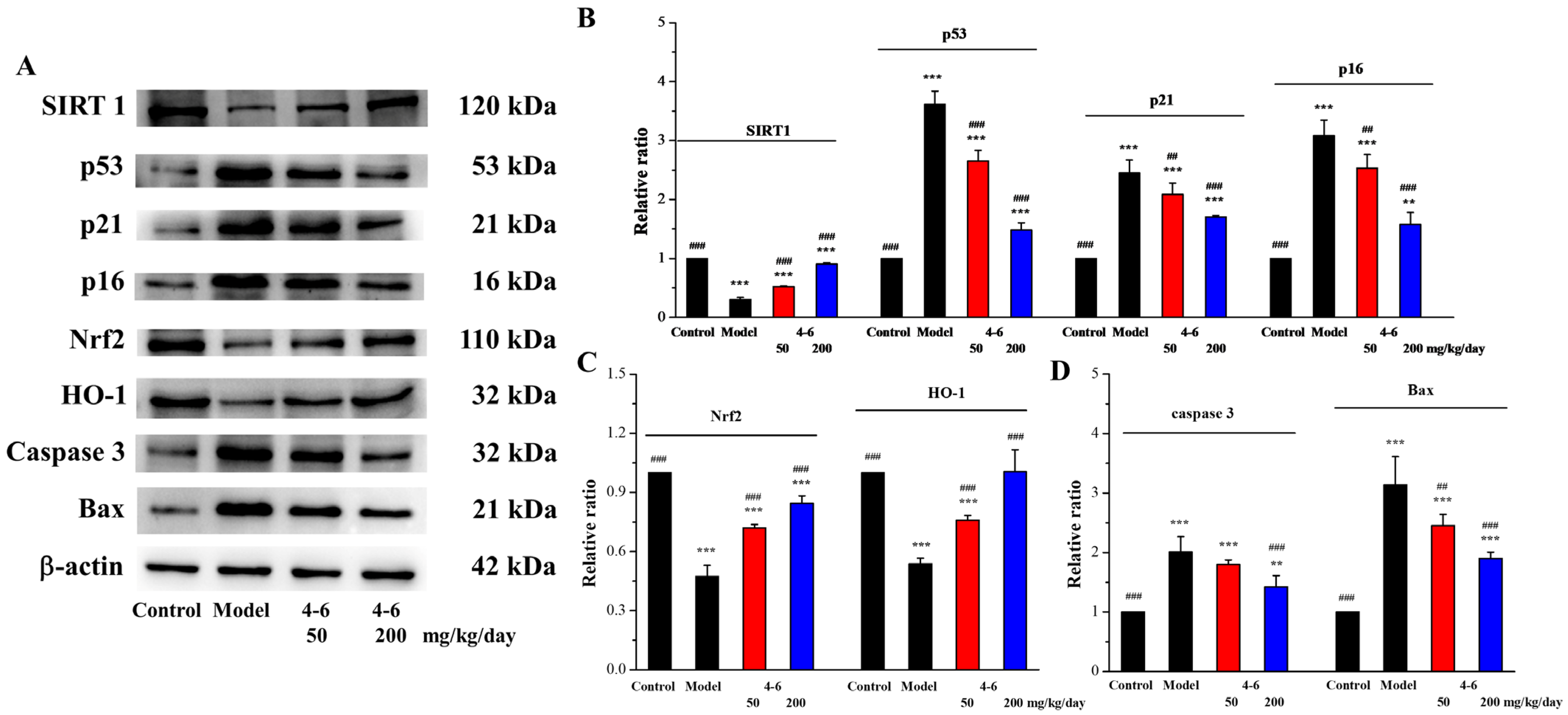 Molecules 29 00086 g015