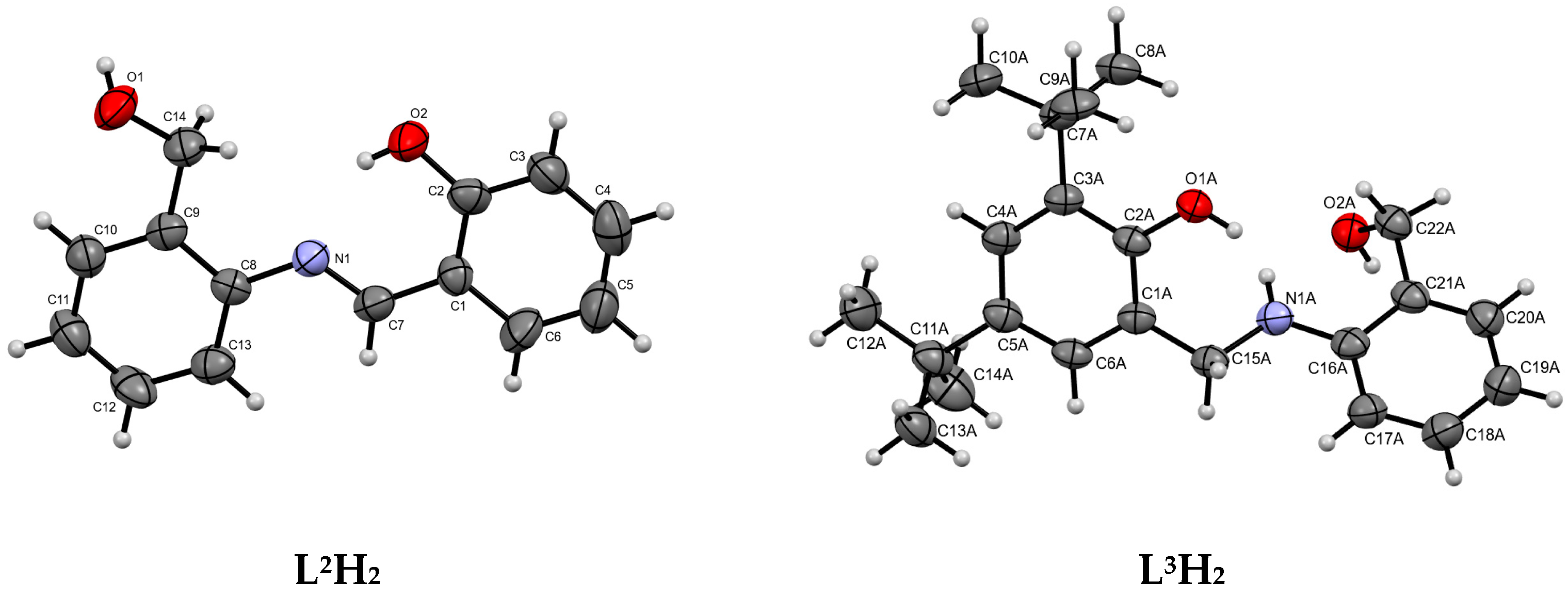 Molecules 29 00087 g001