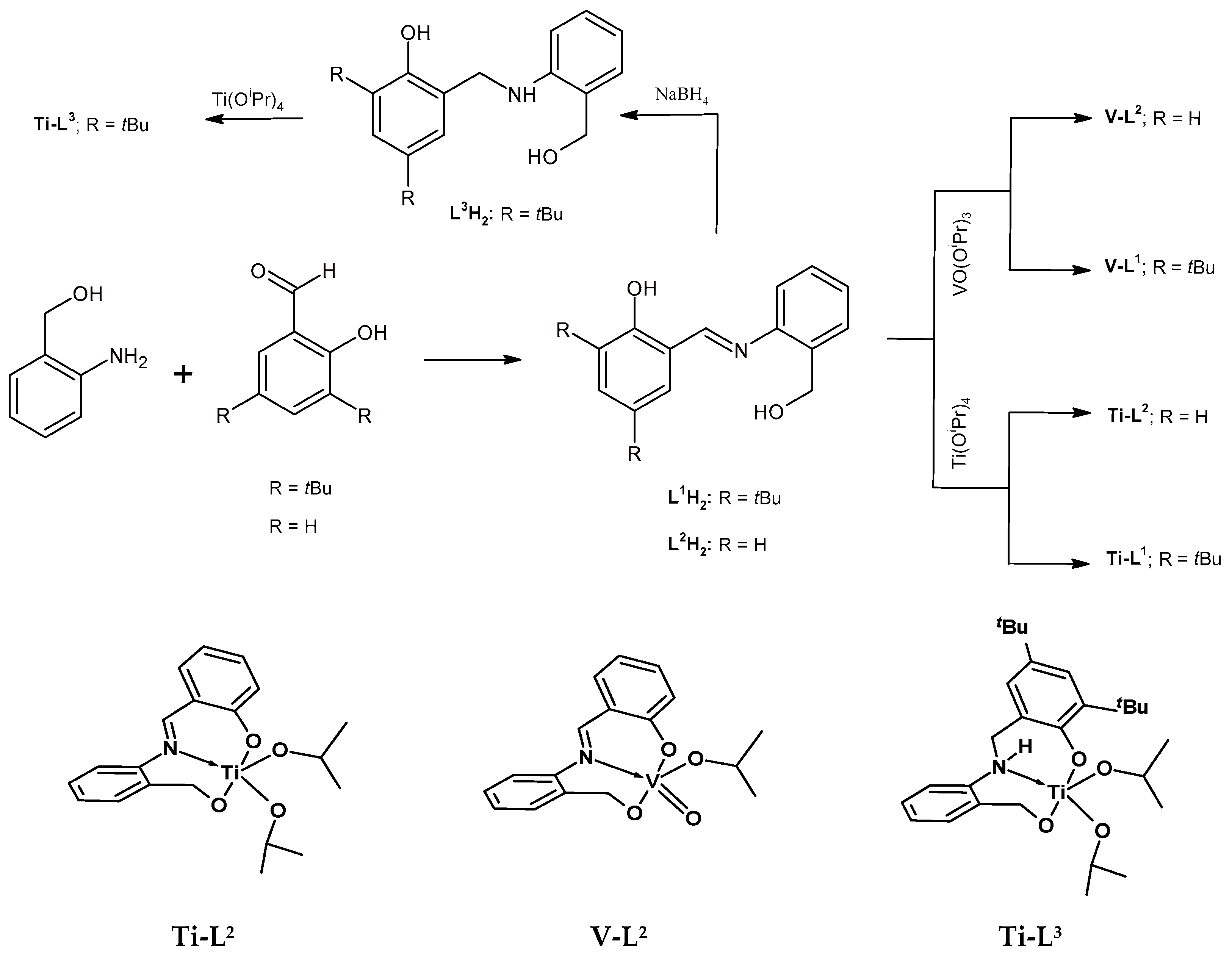 Molecules 29 00087 sch001
