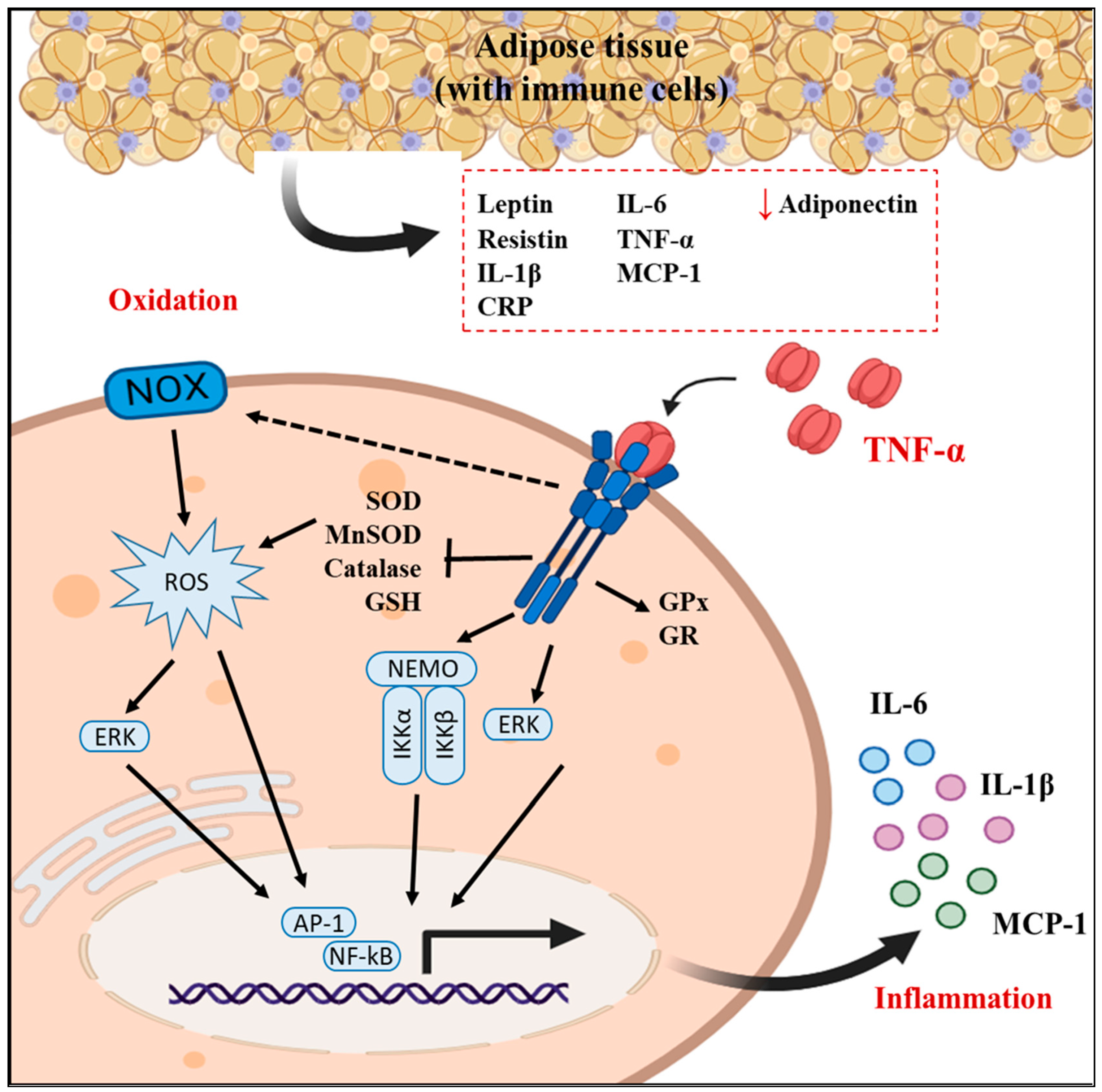 Molecules 29 00088 g008