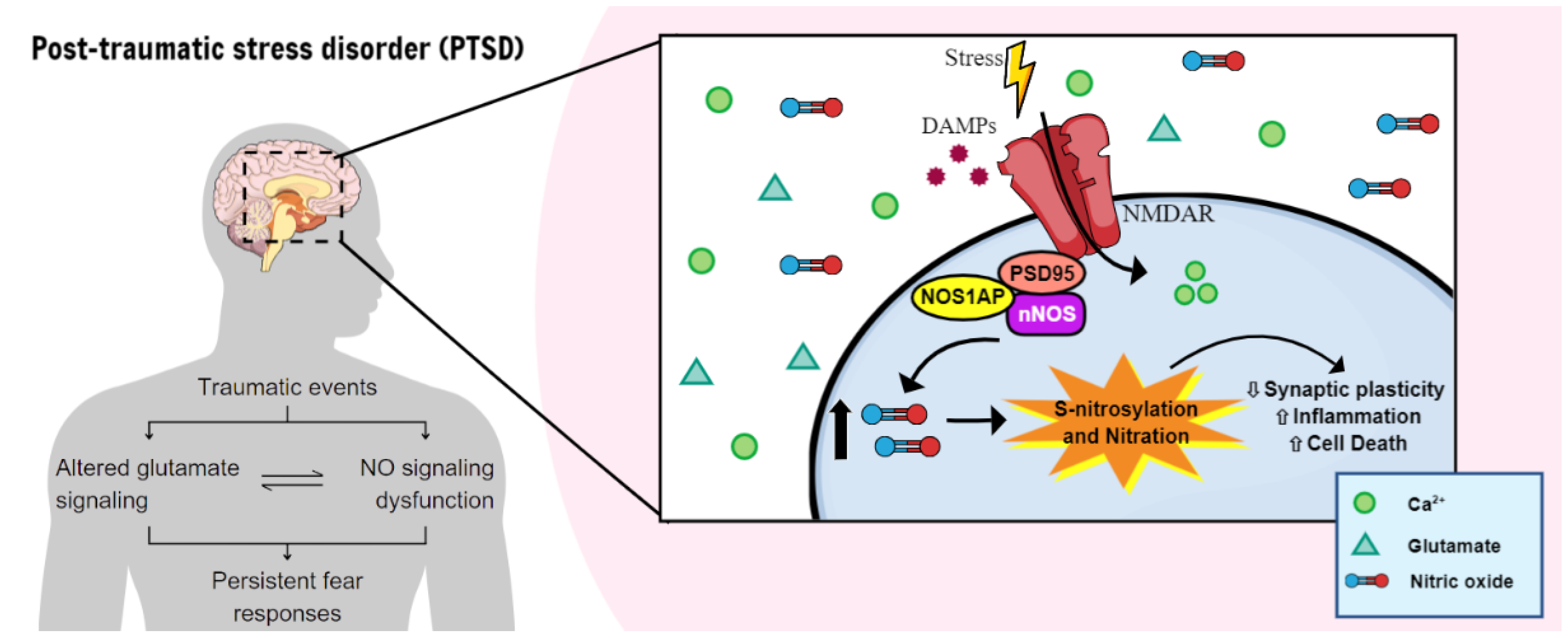 Molecules 29 00089 g001