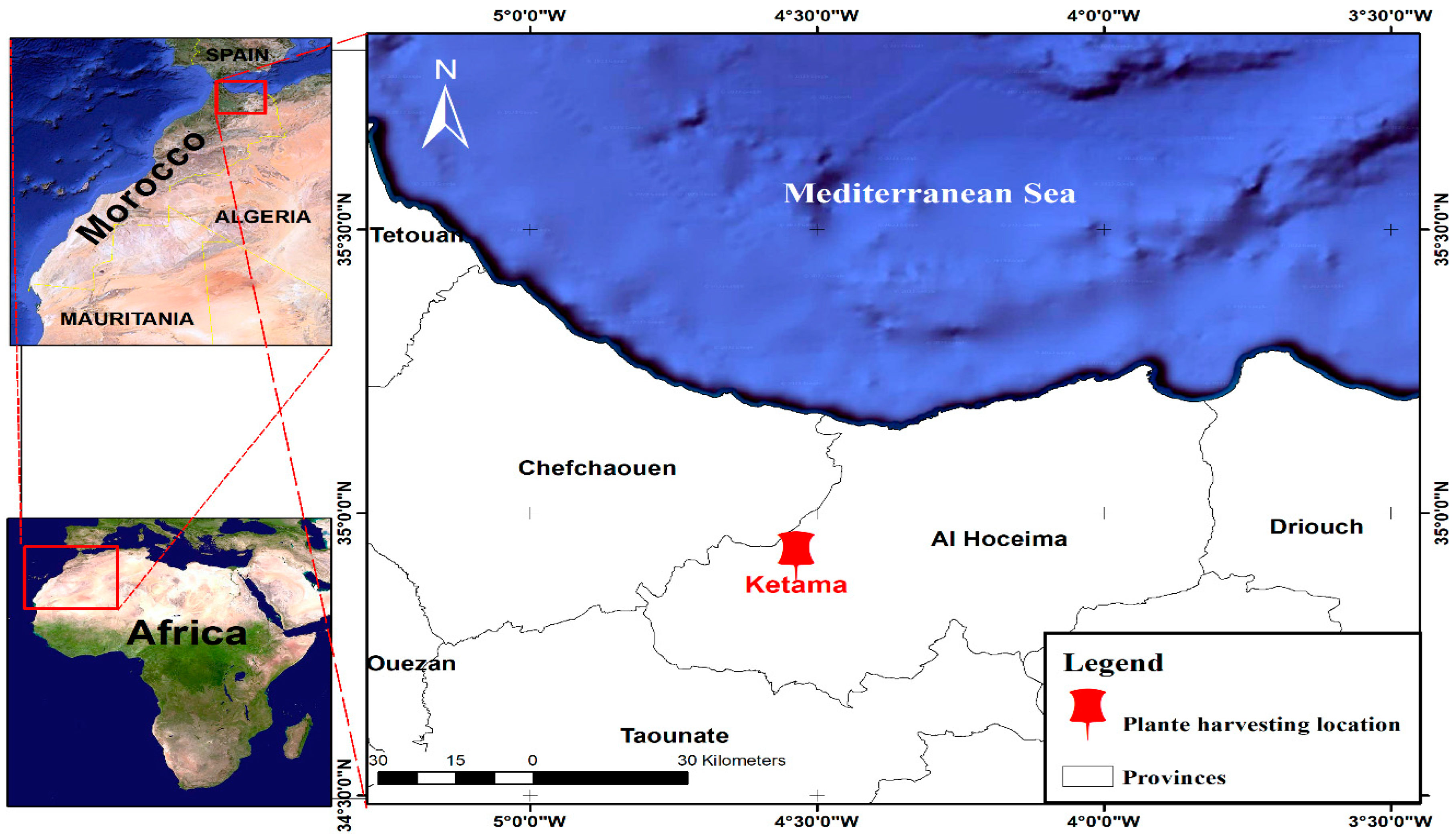 Molecules 29 00093 g012