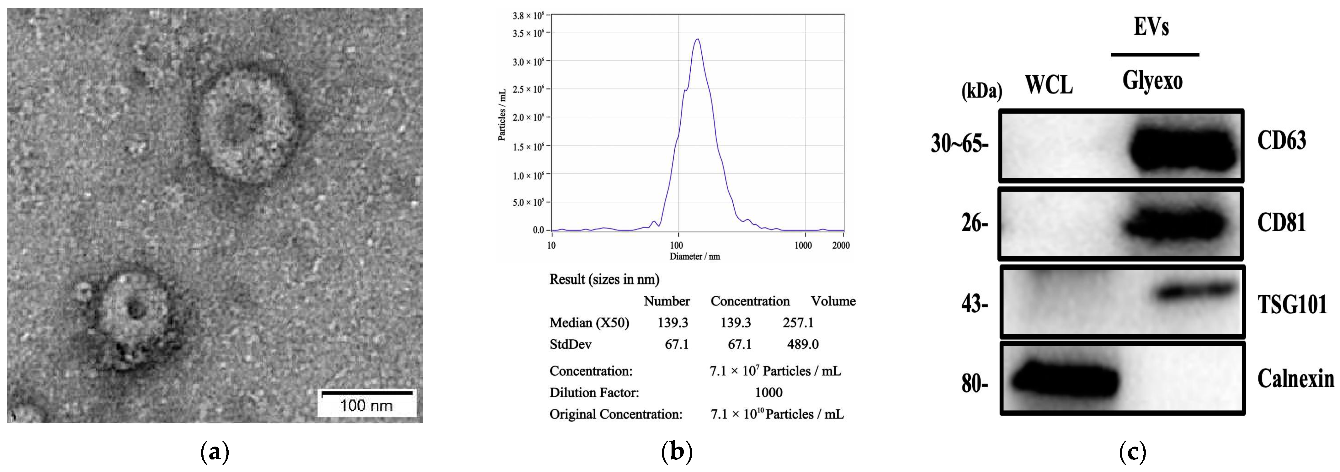 Molecules 29 00103 g001