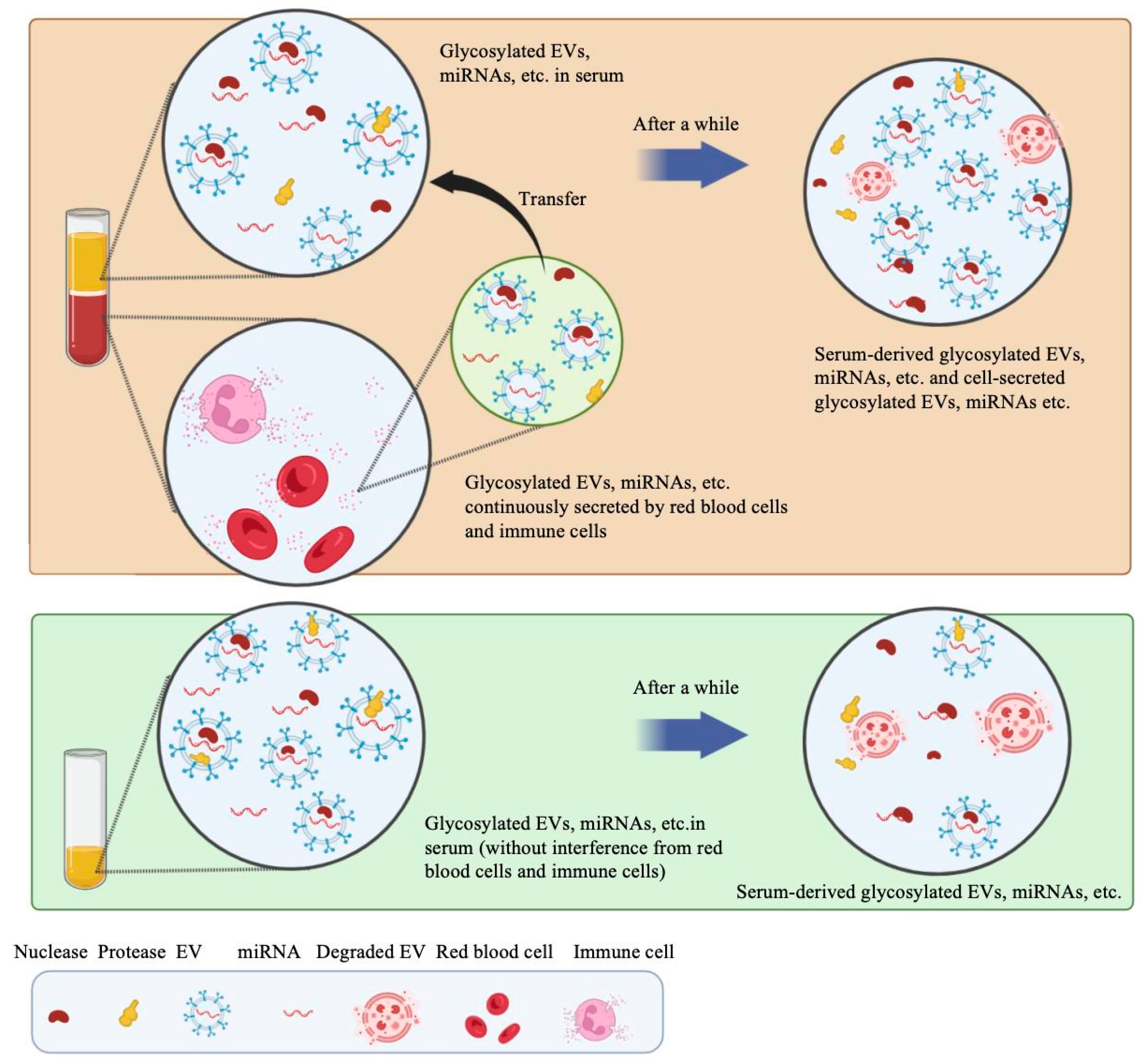 Molecules 29 00103 g008