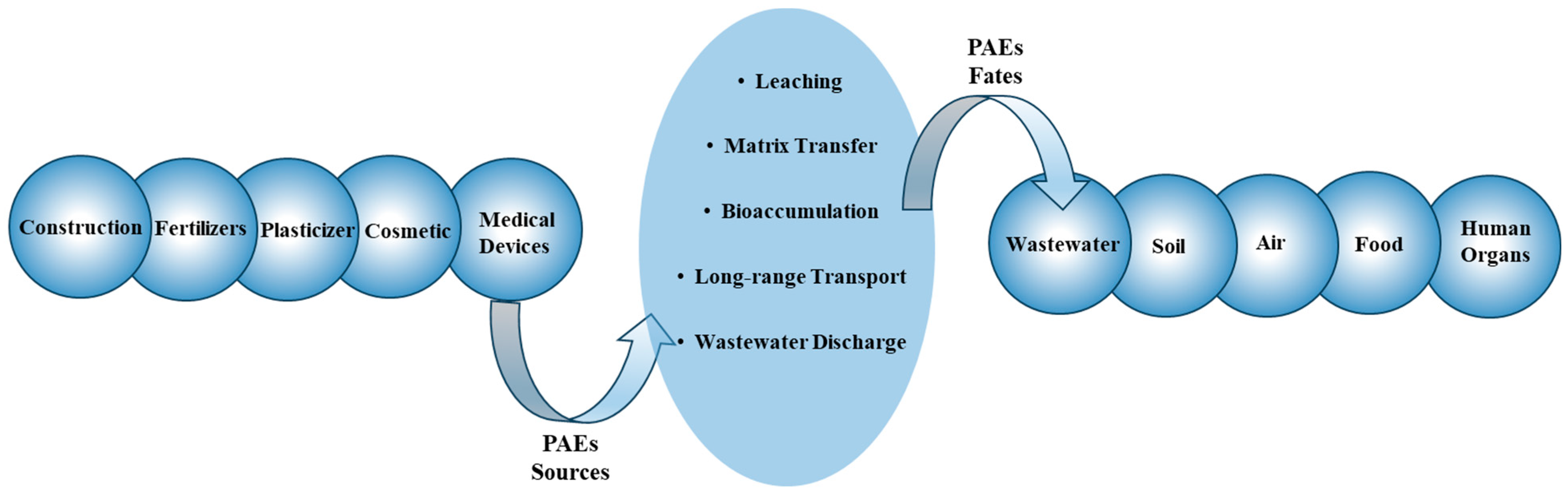 Molecules 29 00106 g003