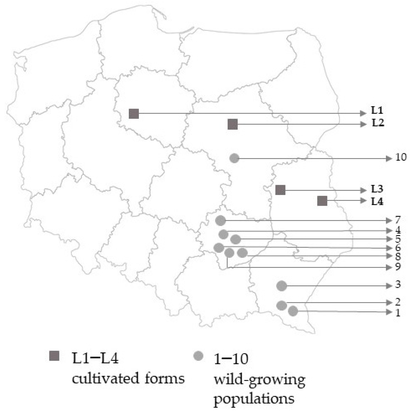 Molecules 29 00112 g001