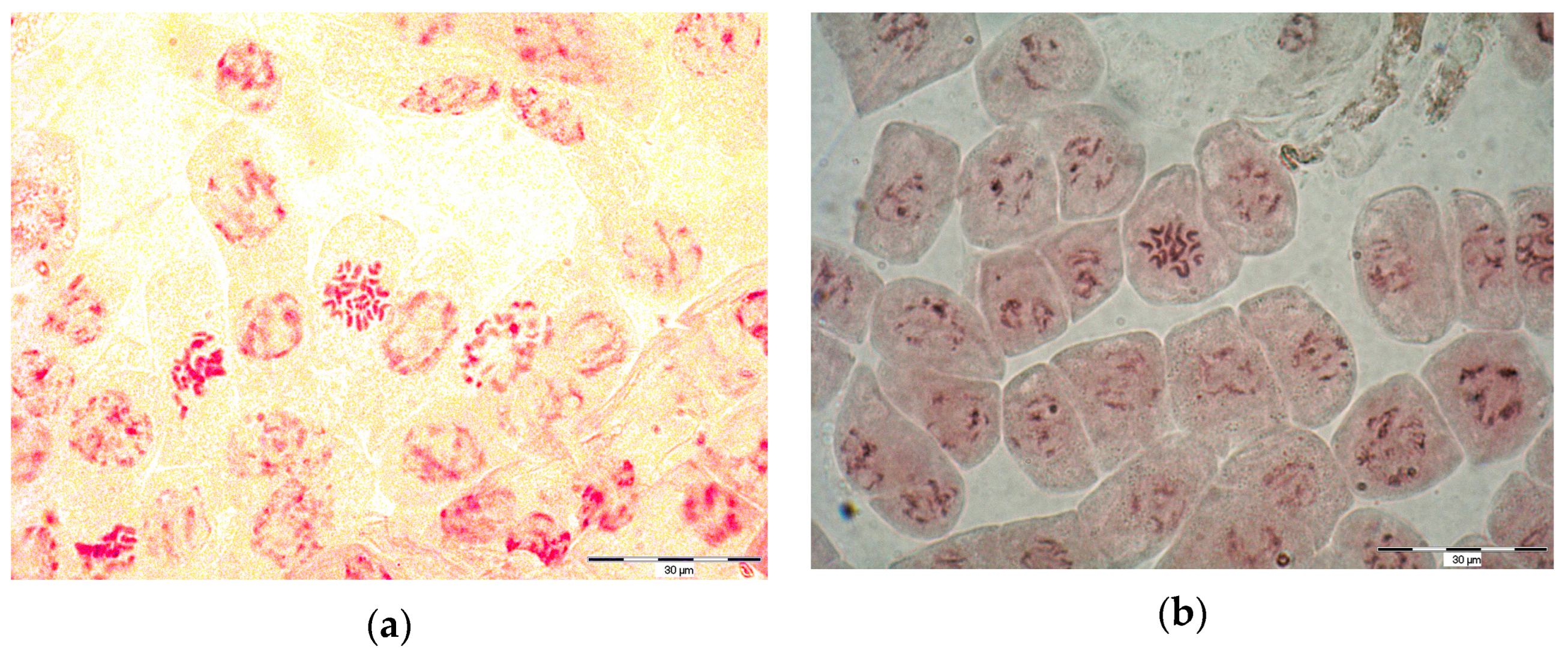 Molecules 29 00112 g002