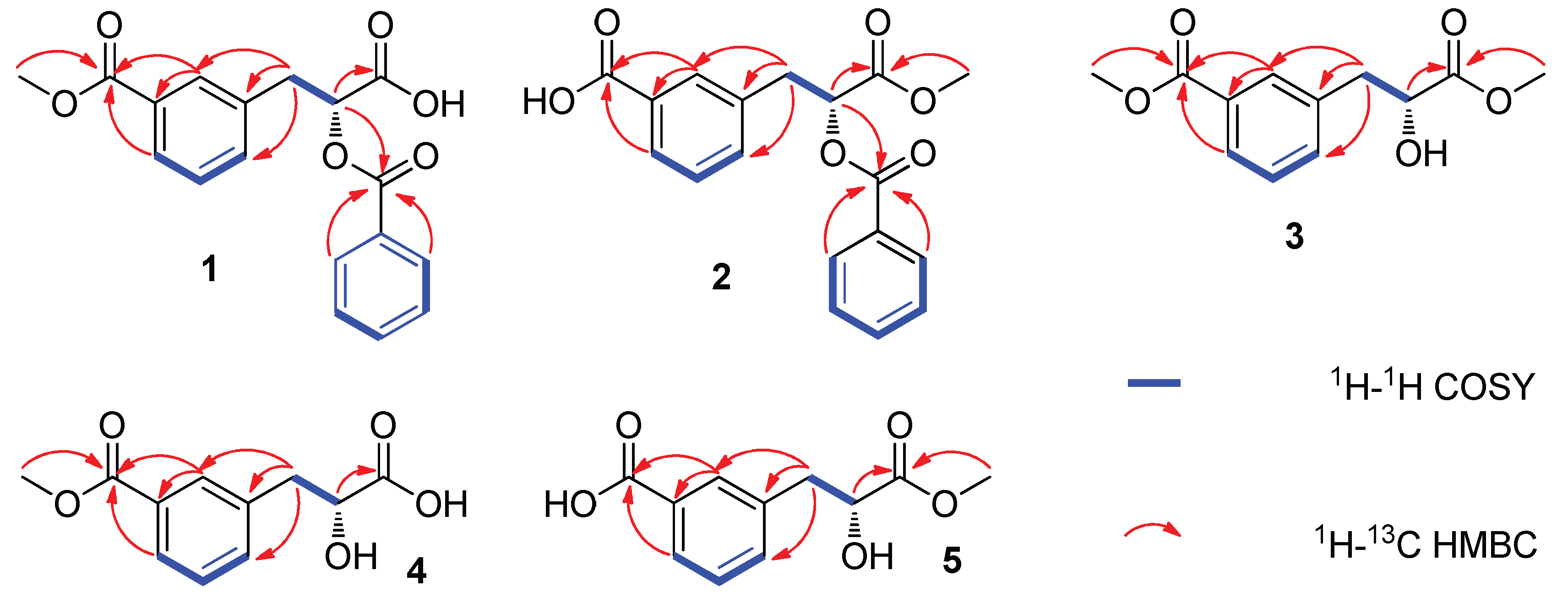 Molecules 29 00115 g002