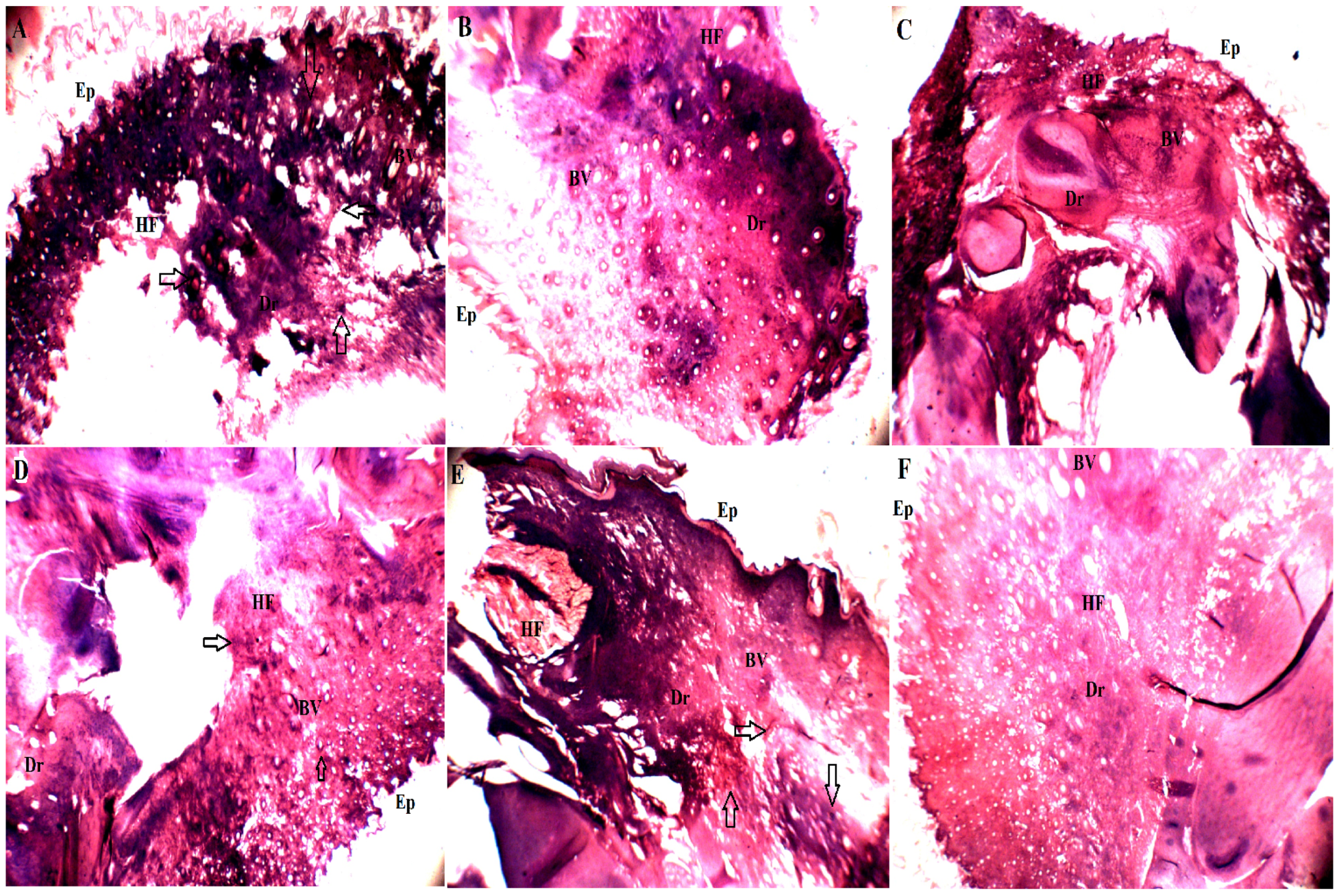 Molecules 29 00117 g006