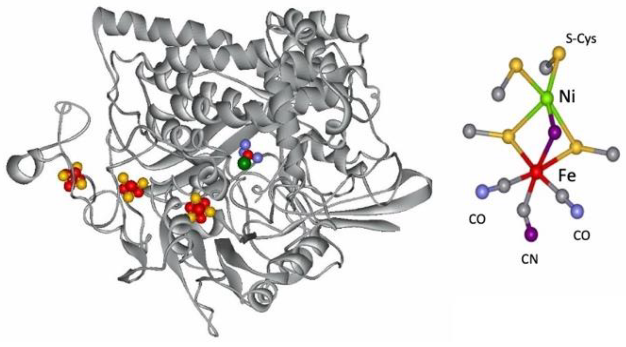 Molecules 29 00120 g005