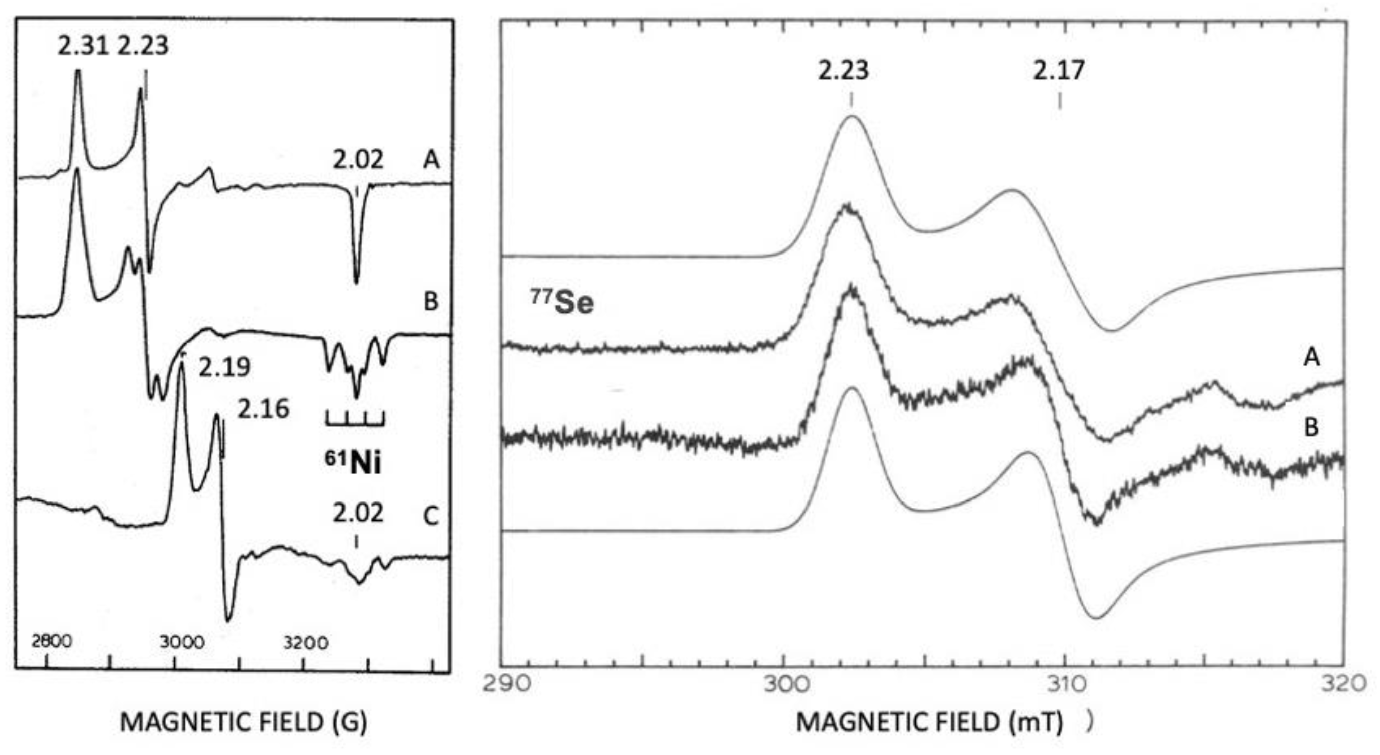 Molecules 29 00120 g007