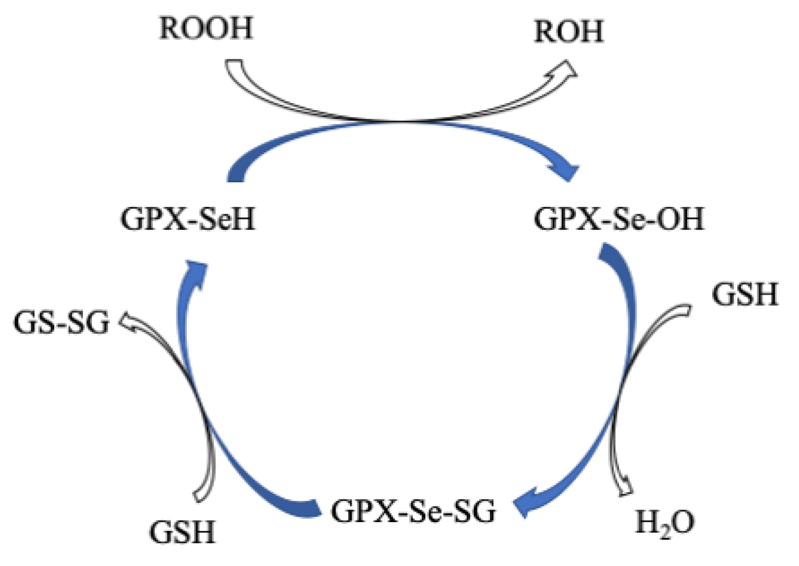 Molecules 29 00120 g010