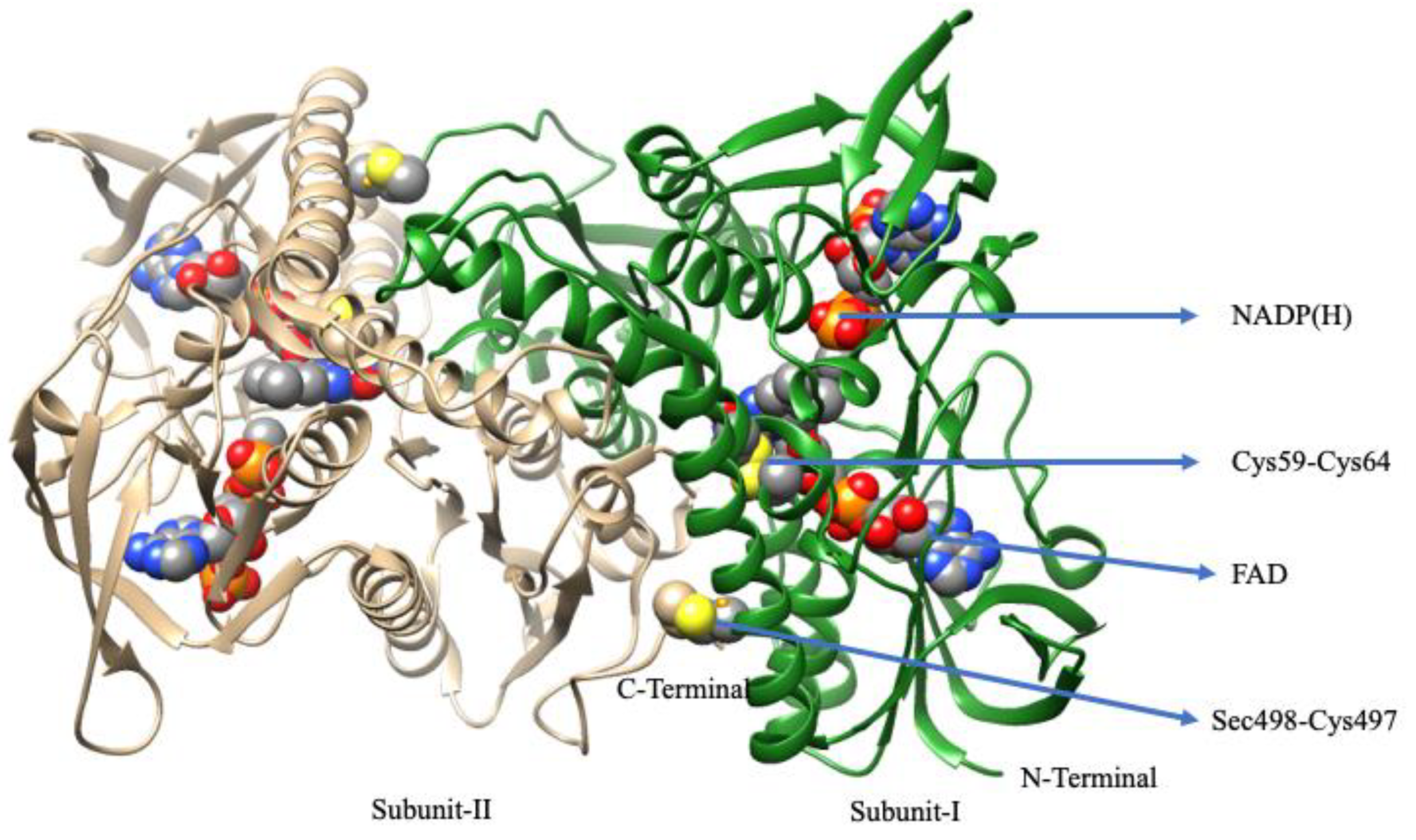 Molecules 29 00120 g011