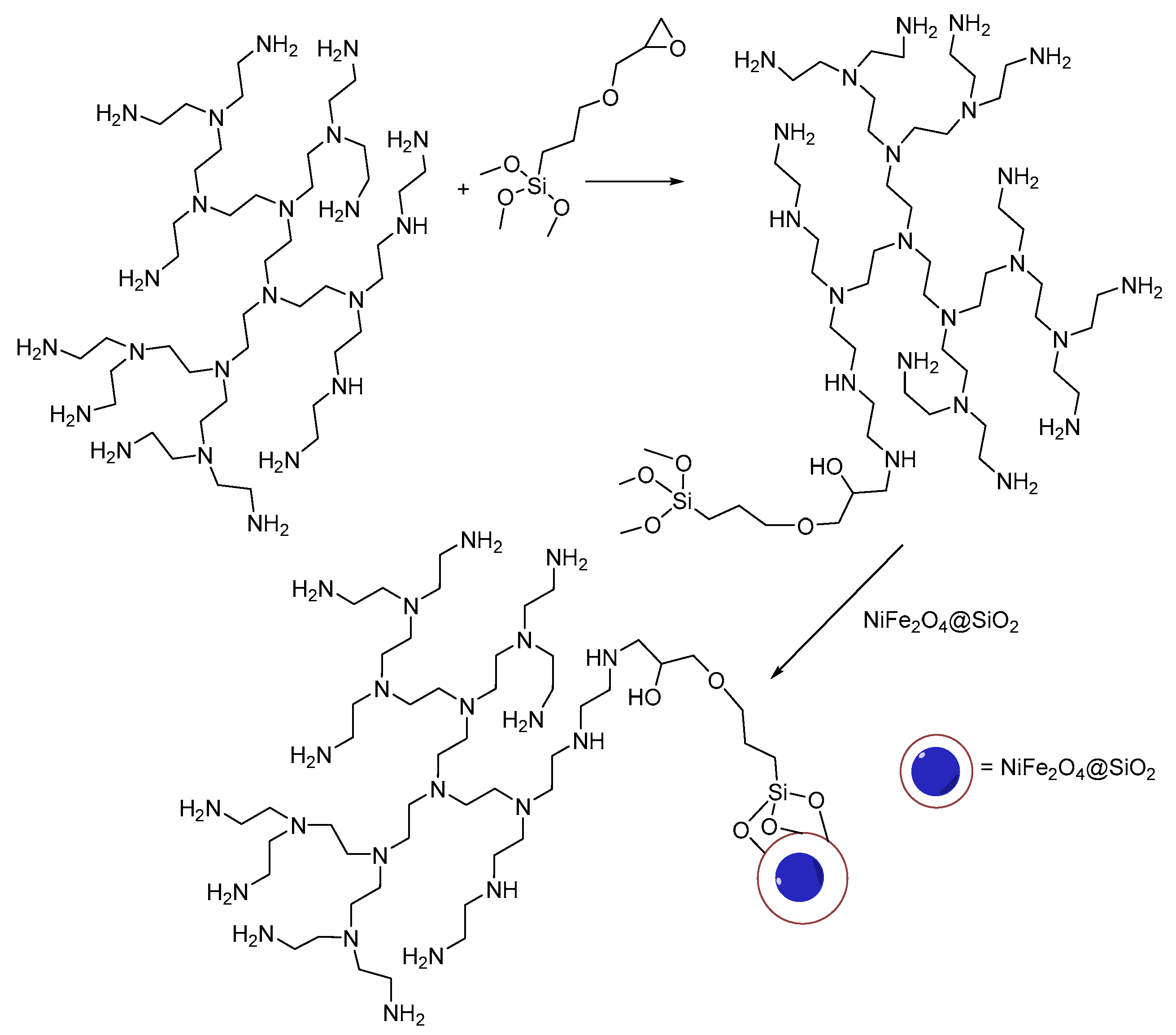 Molecules 29 00125 sch001