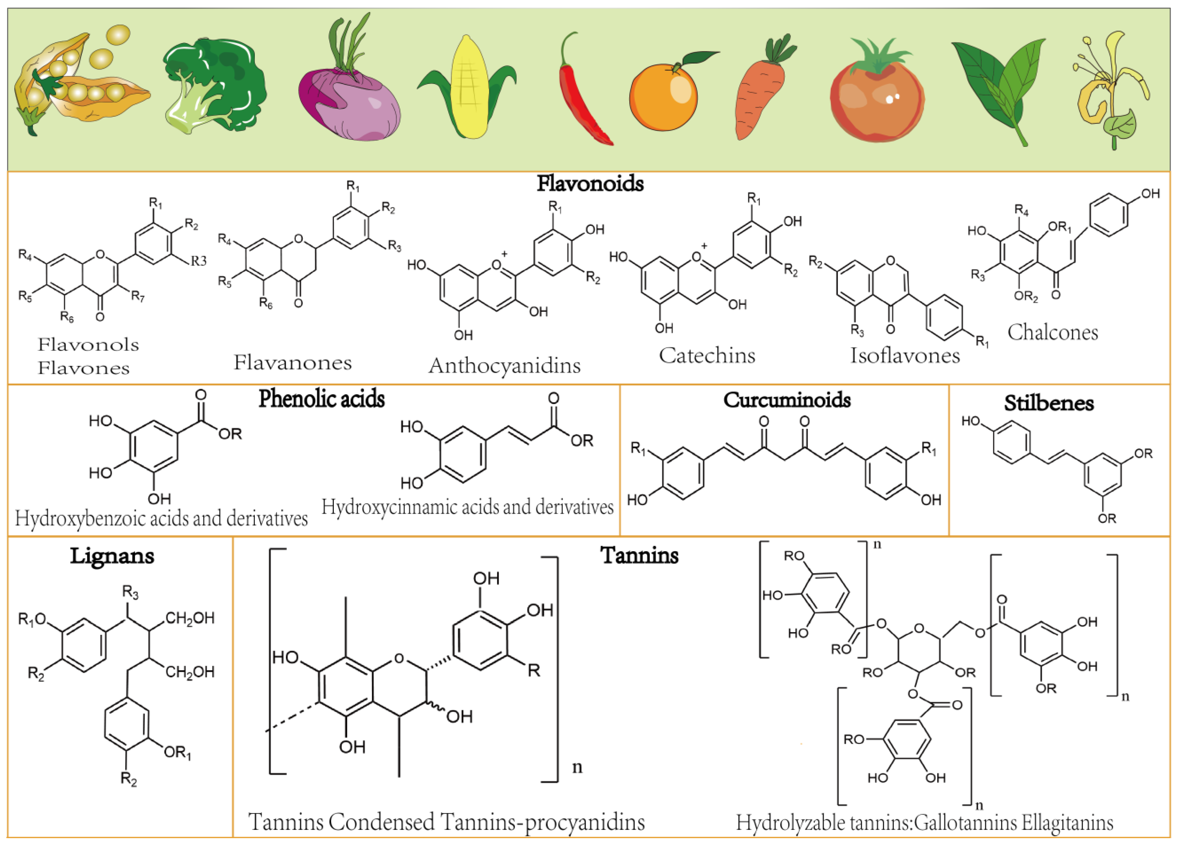Molecules 29 00127 g001a