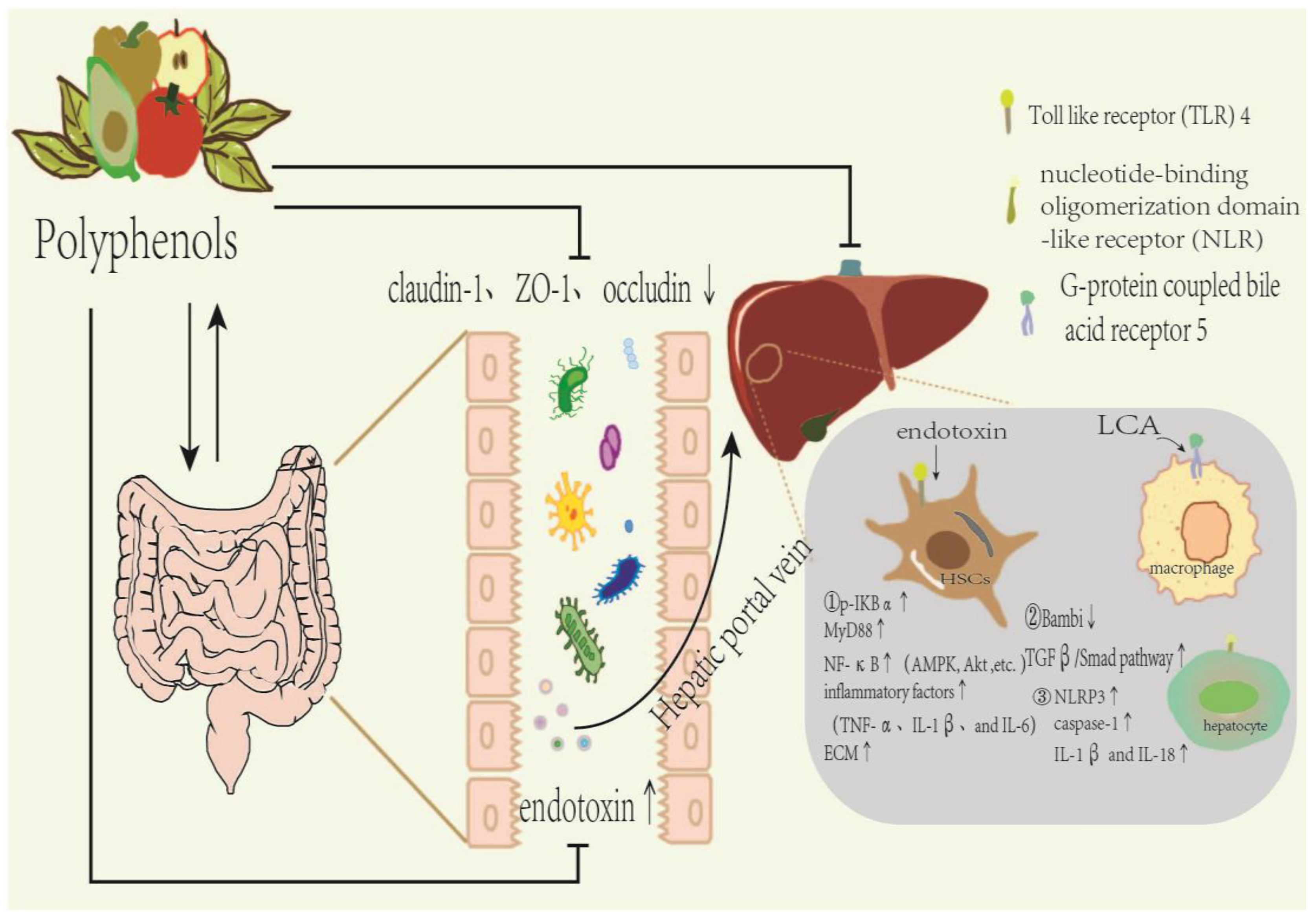 Molecules 29 00127 g003
