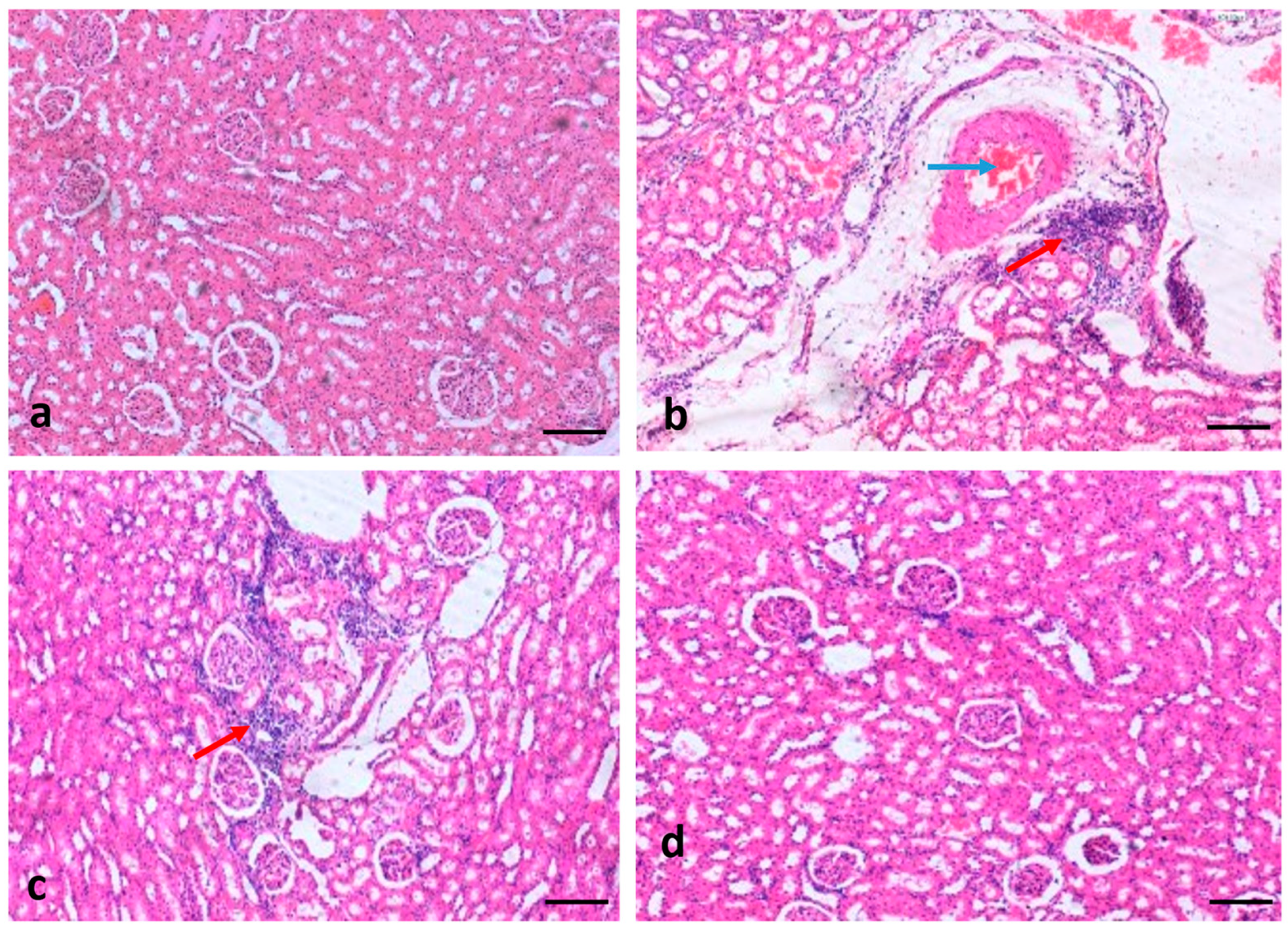 Molecules 29 00128 g009
