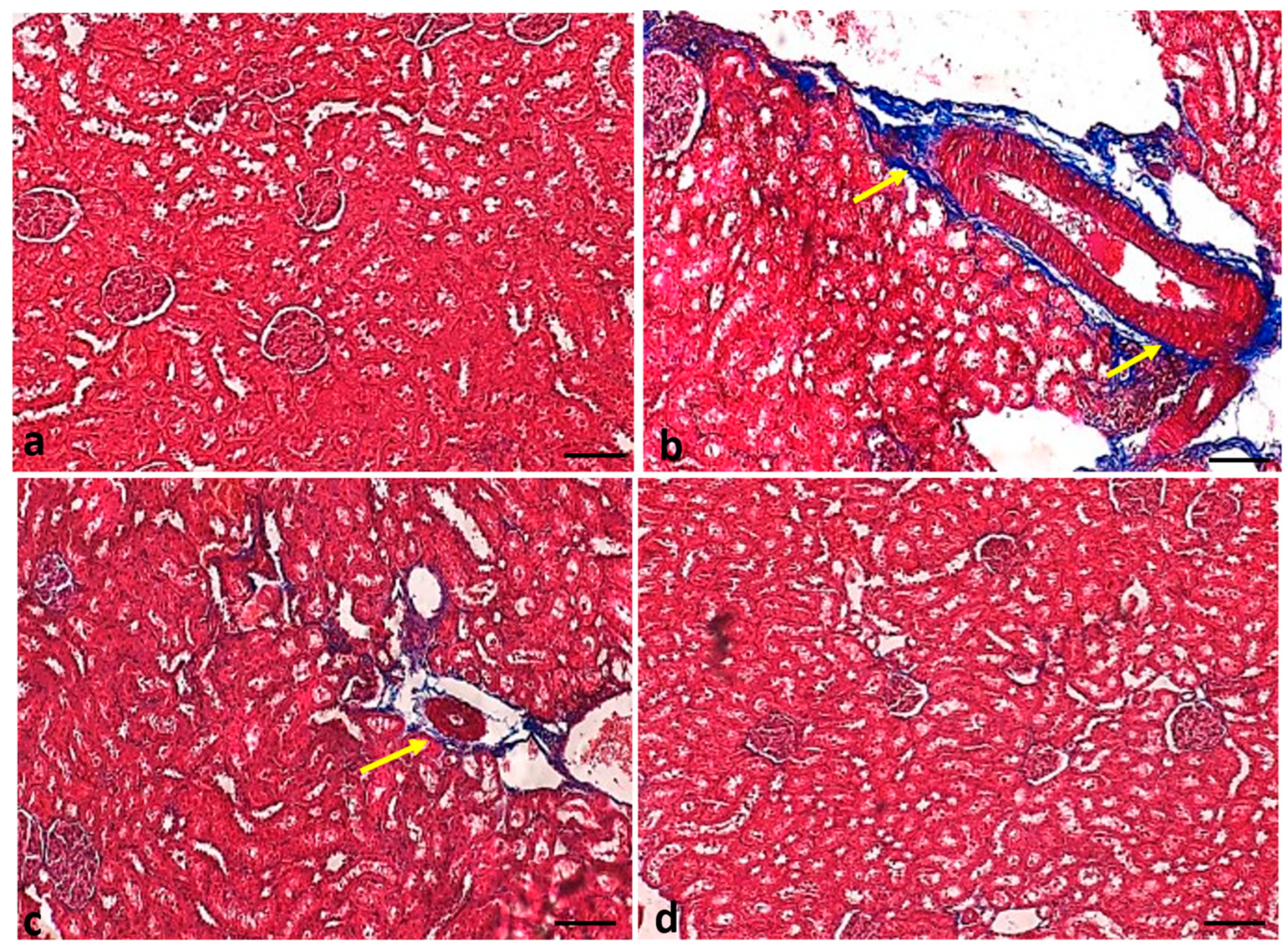 Molecules 29 00128 g010