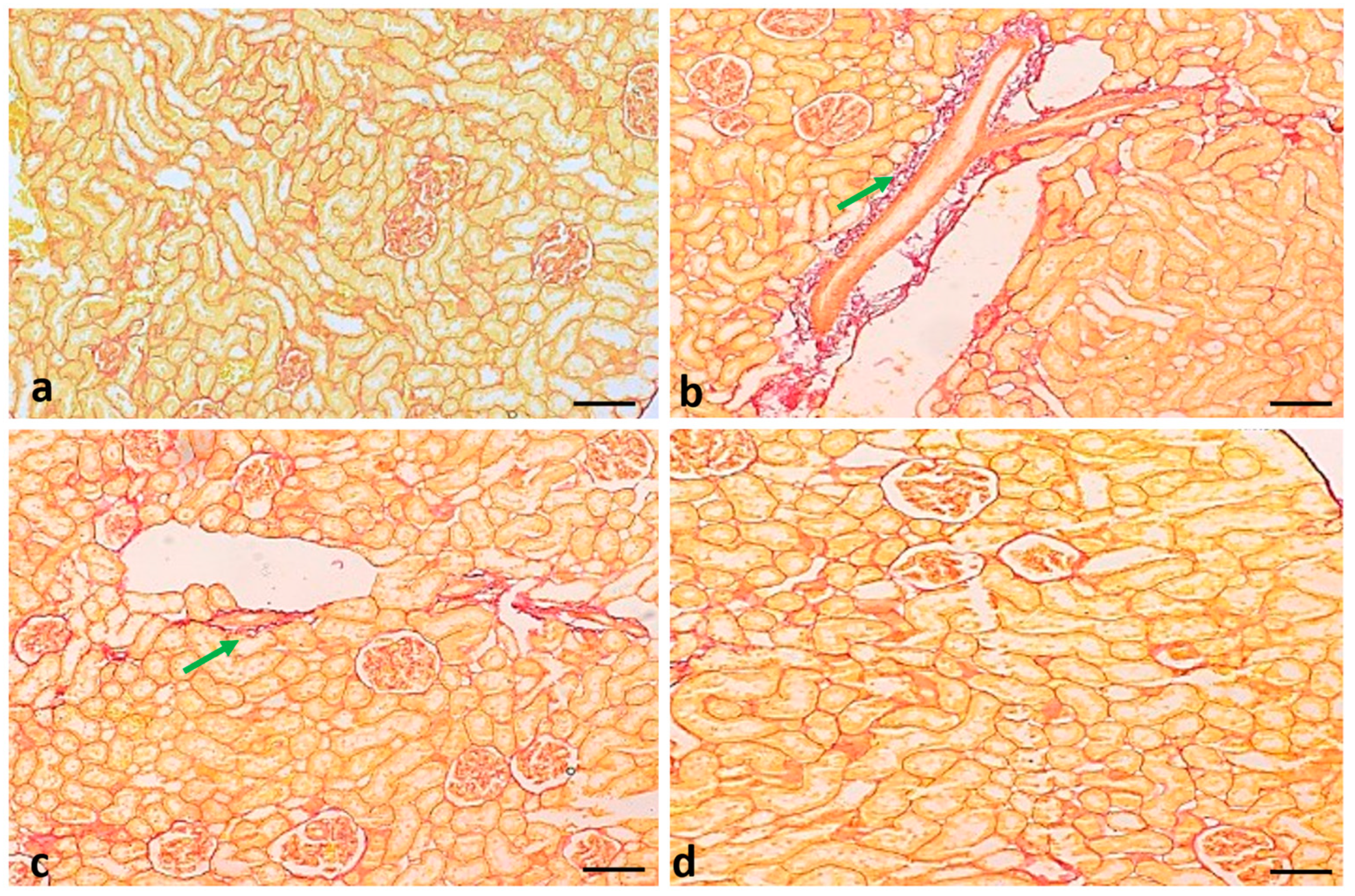 Molecules 29 00128 g011