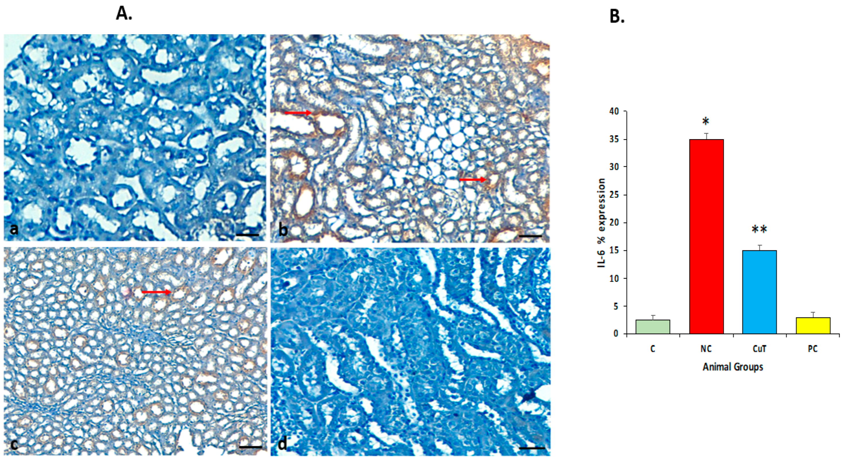 Molecules 29 00128 g012