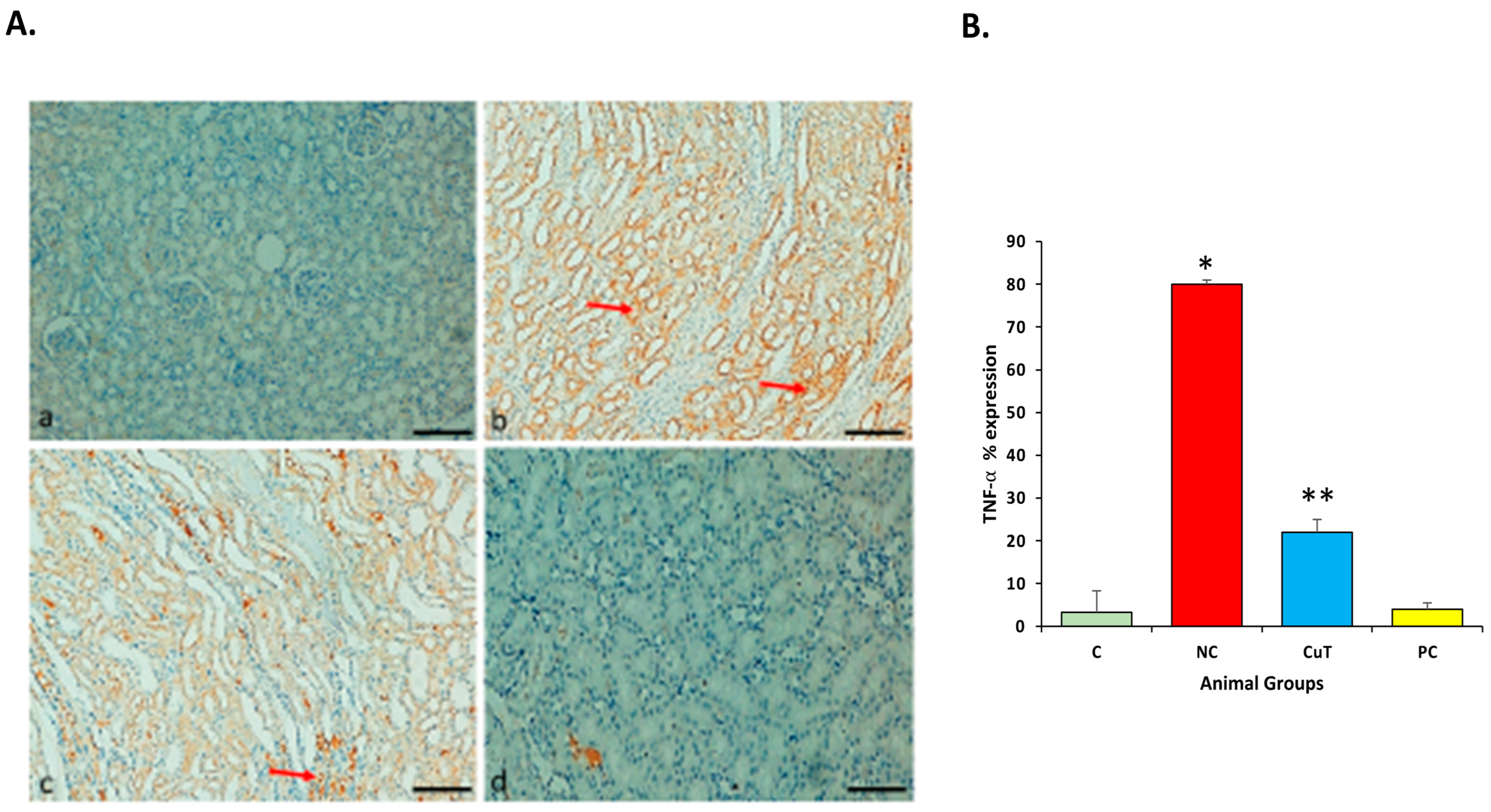 Molecules 29 00128 g013