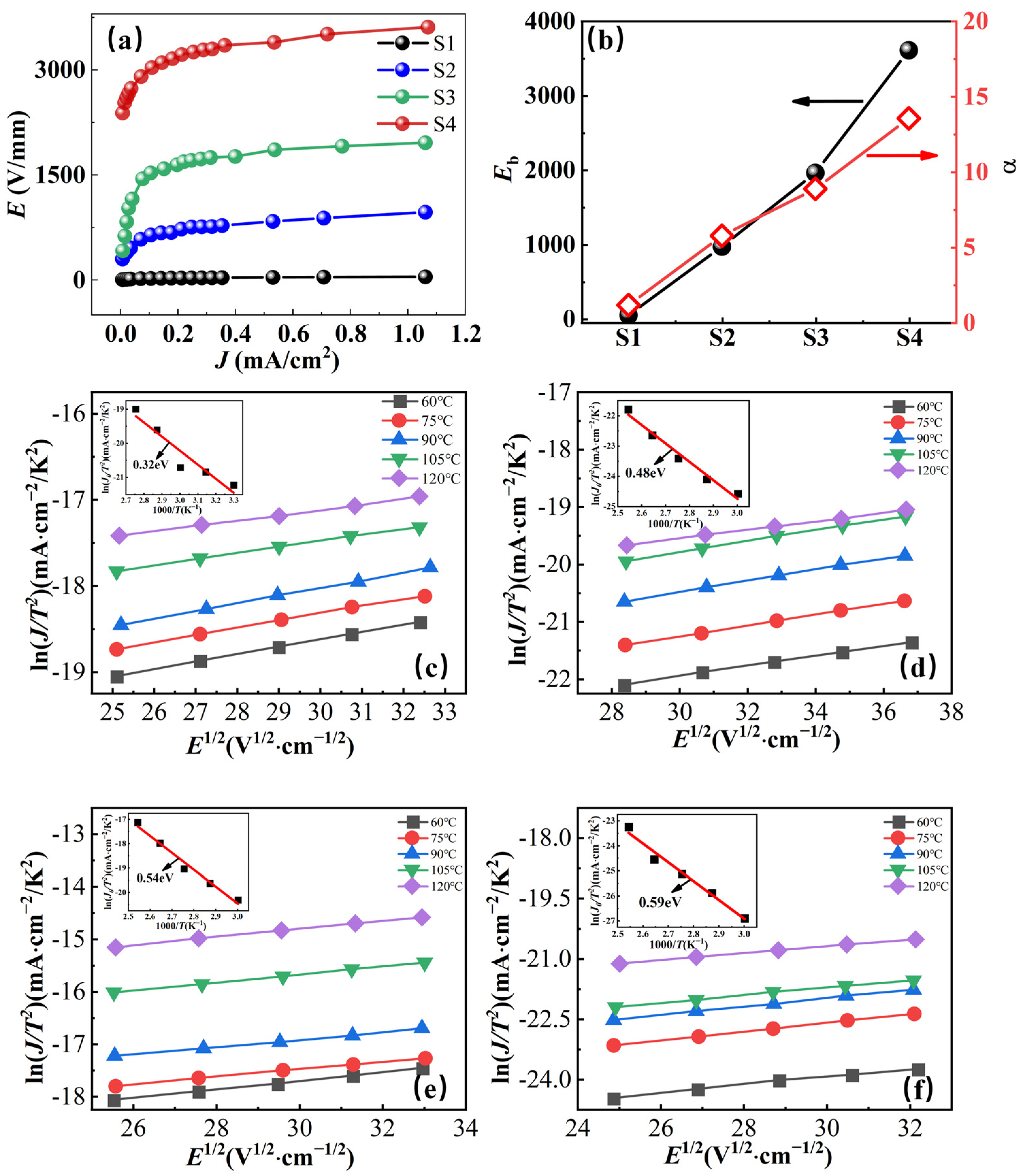 Molecules 29 00129 g006