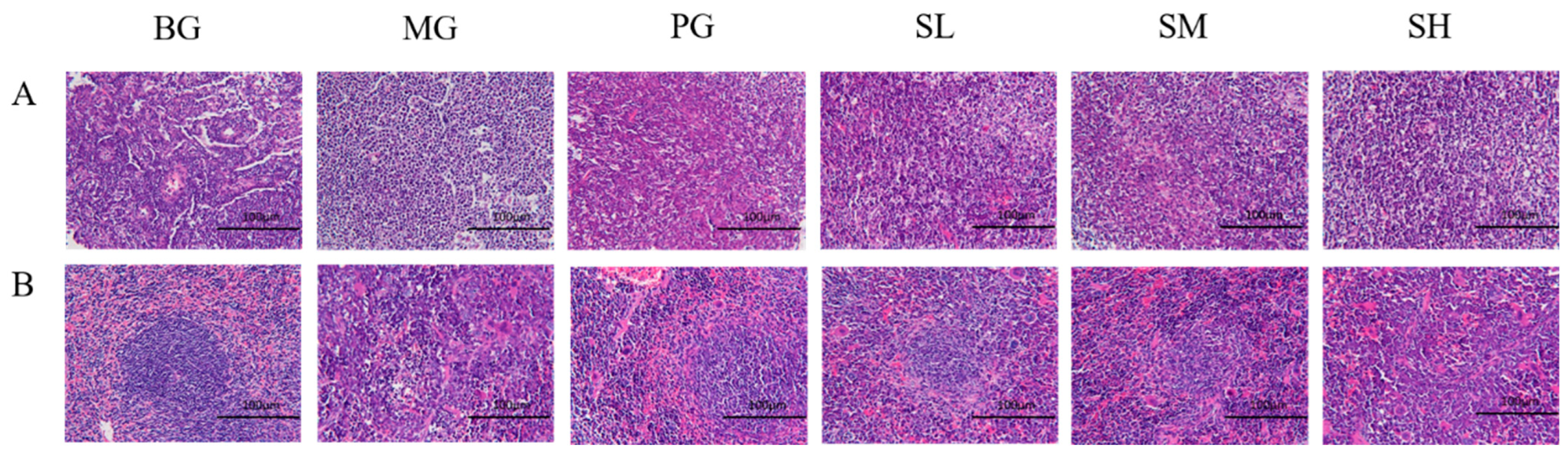 Molecules 29 00143 g010 Molecules 29 00143 g010