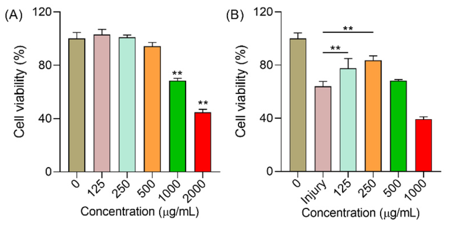 Molecules 29 00150 g005 Molecules 29 00150 g005