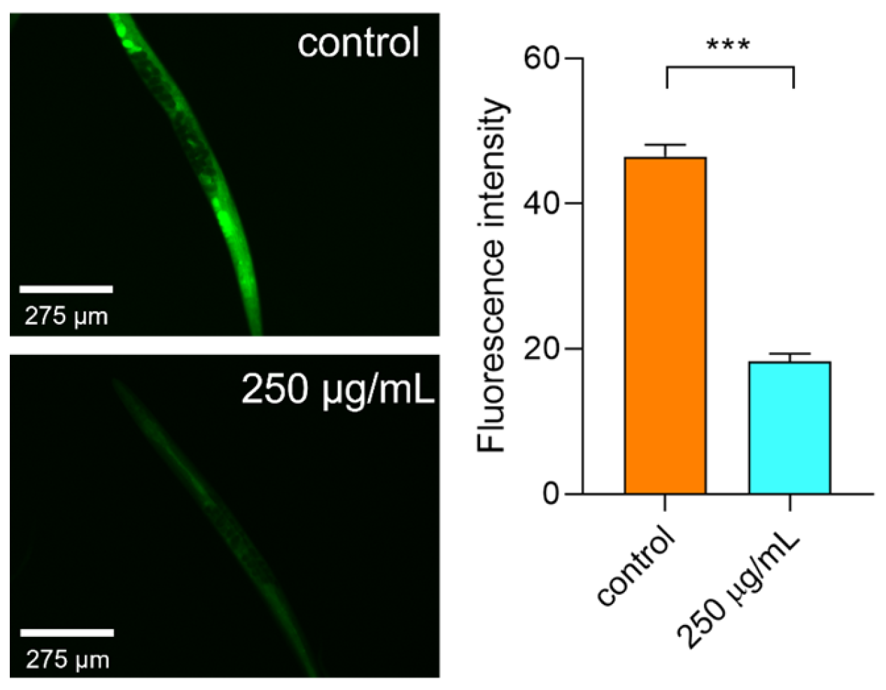 Molecules 29 00150 g009 Molecules 29 00150 g009
