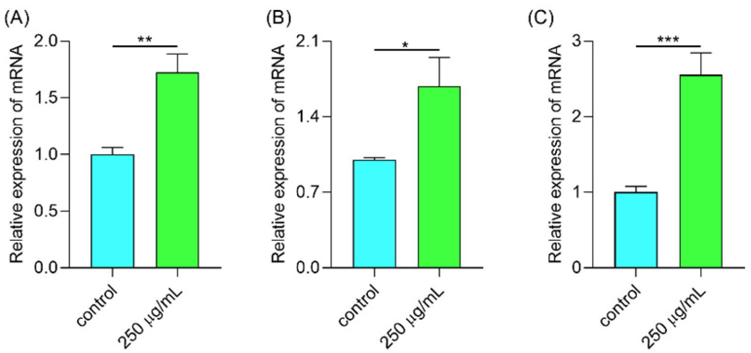 Molecules 29 00150 g011 Molecules 29 00150 g011
