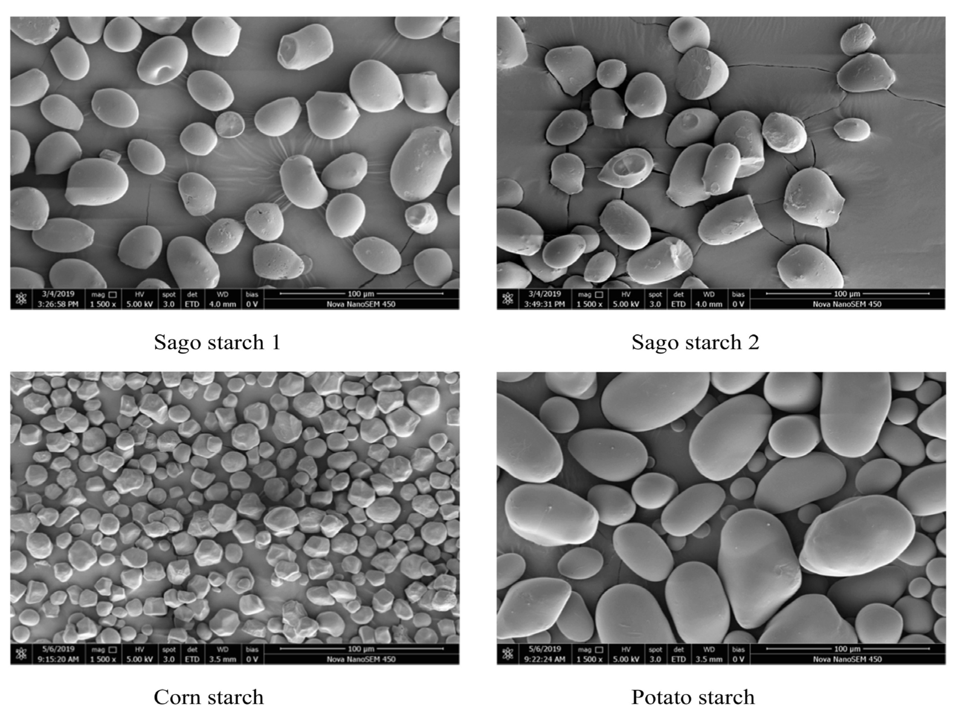 Molecules 29 00151 g006