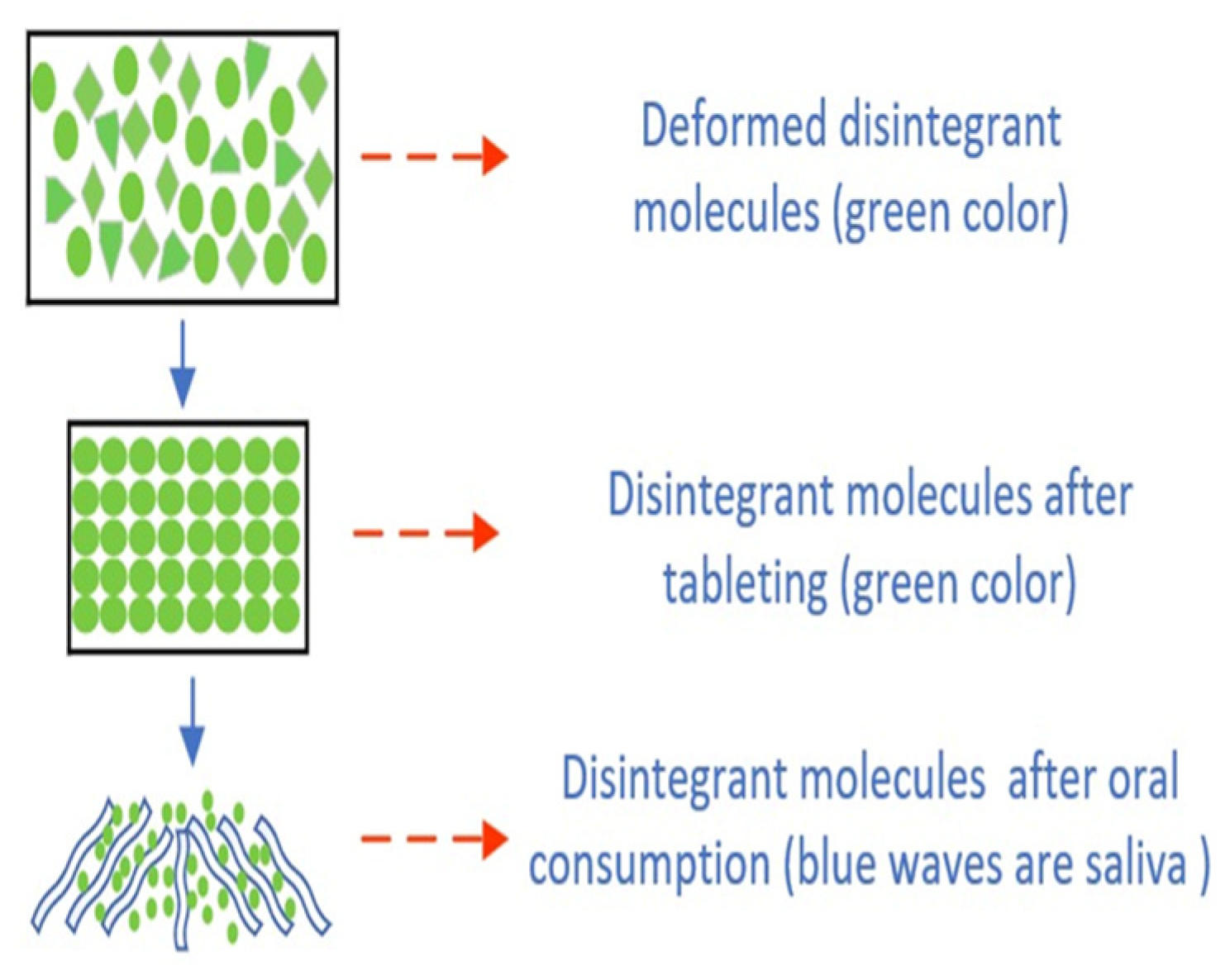 Molecules 29 00151 g011