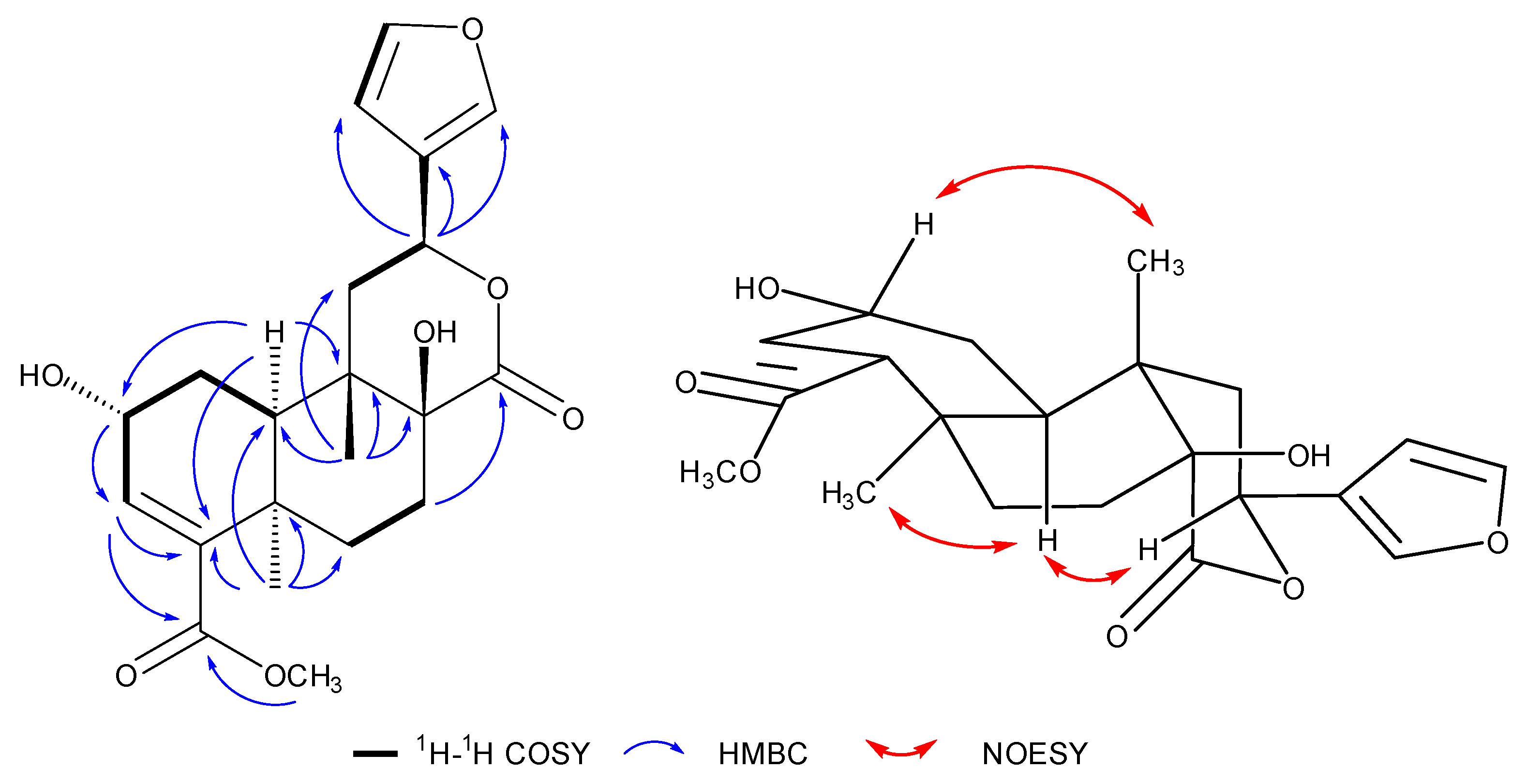 Molecules 29 00154 g002