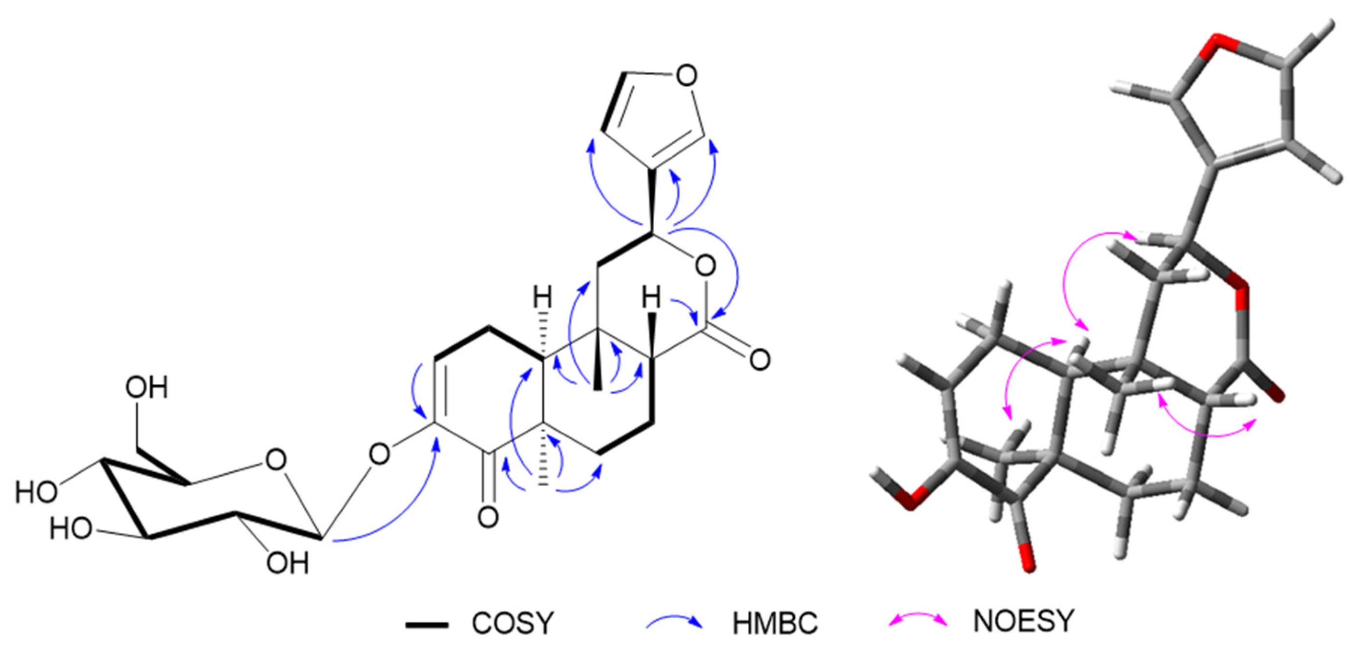Molecules 29 00154 g004