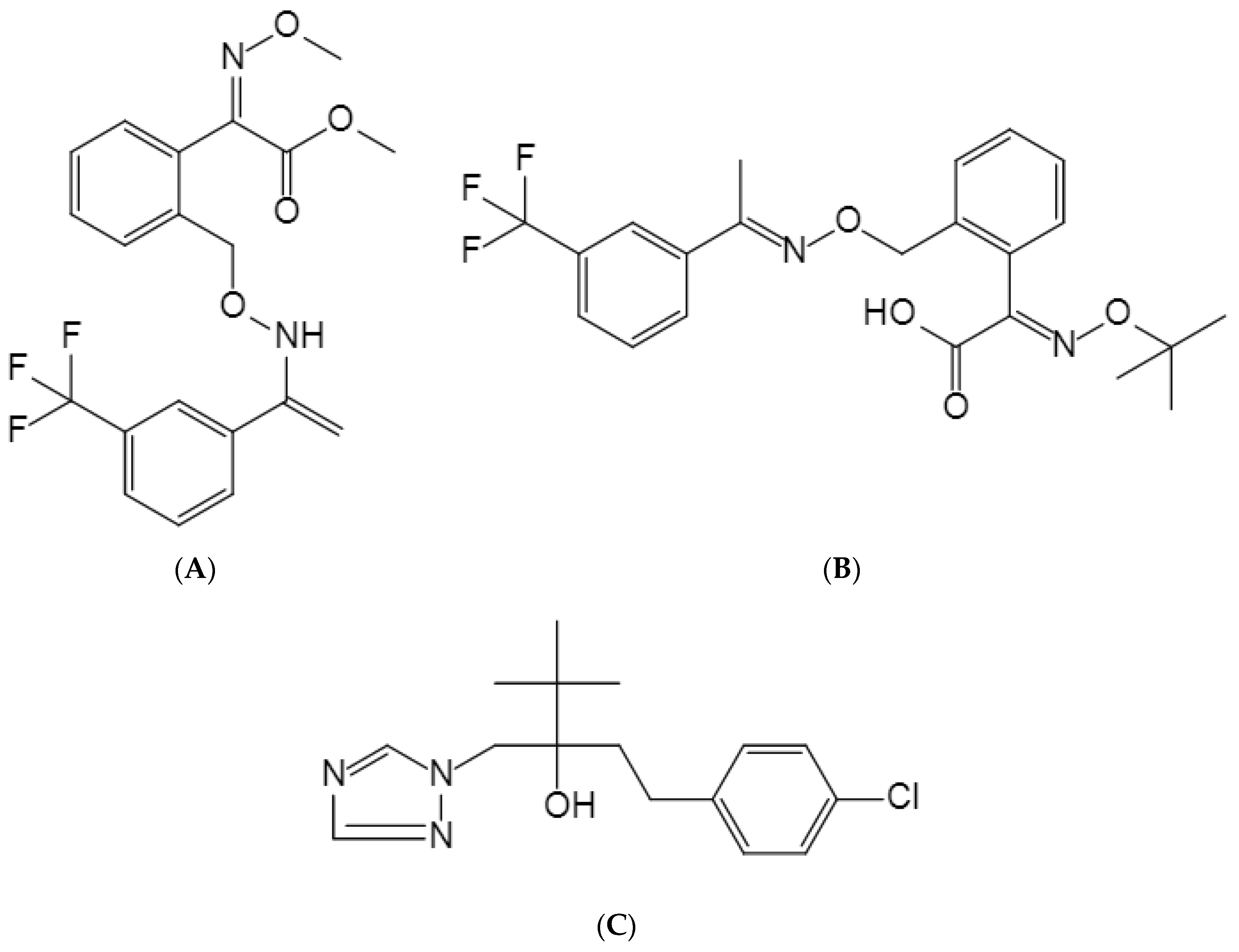Molecules 29 00163 g001
