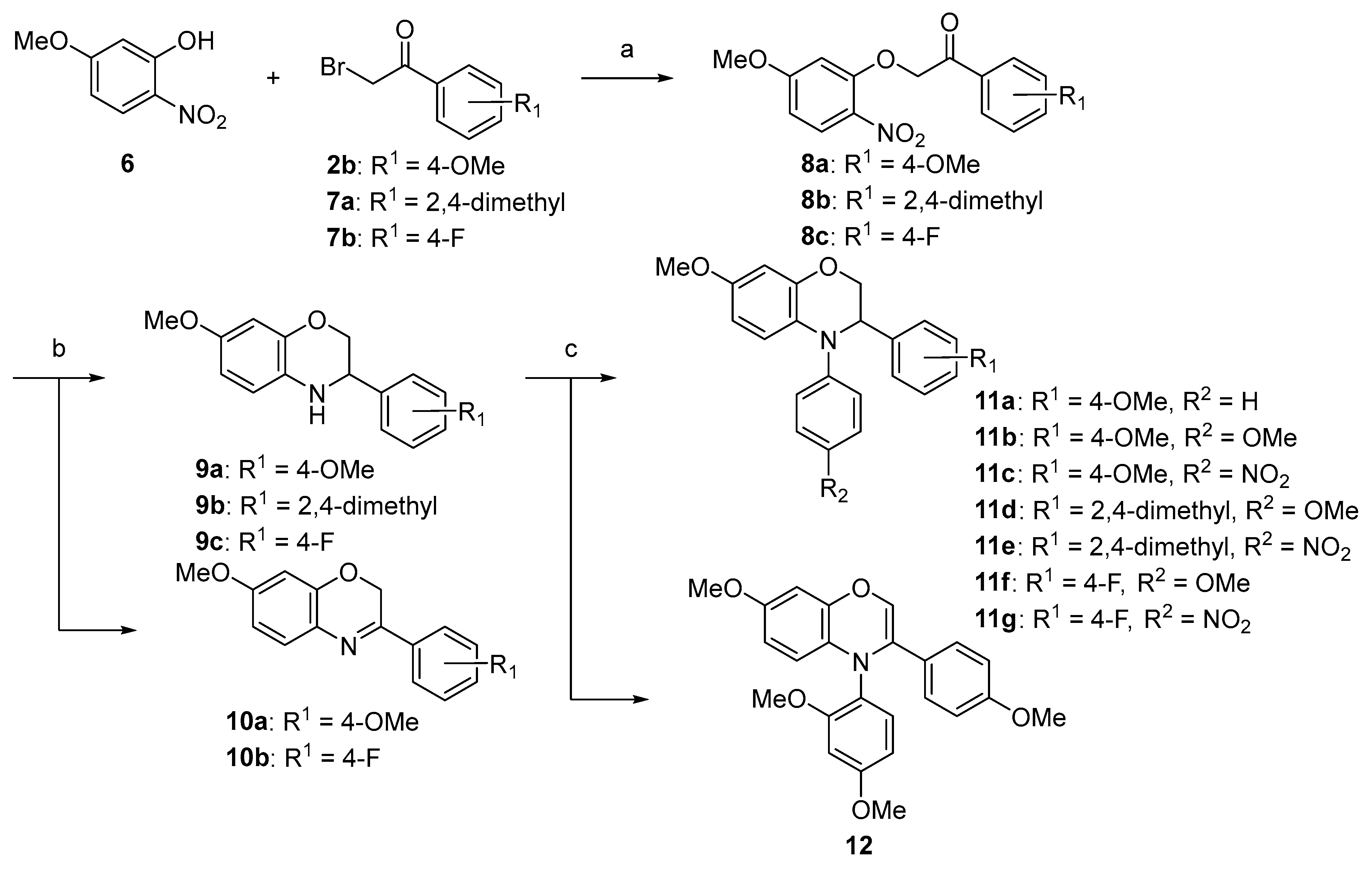 Molecules 29 00166 sch002