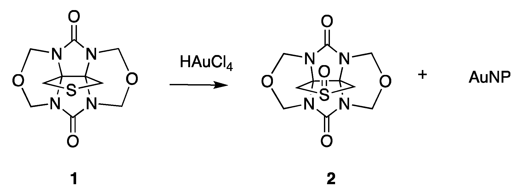 Molecules 29 00168 sch001