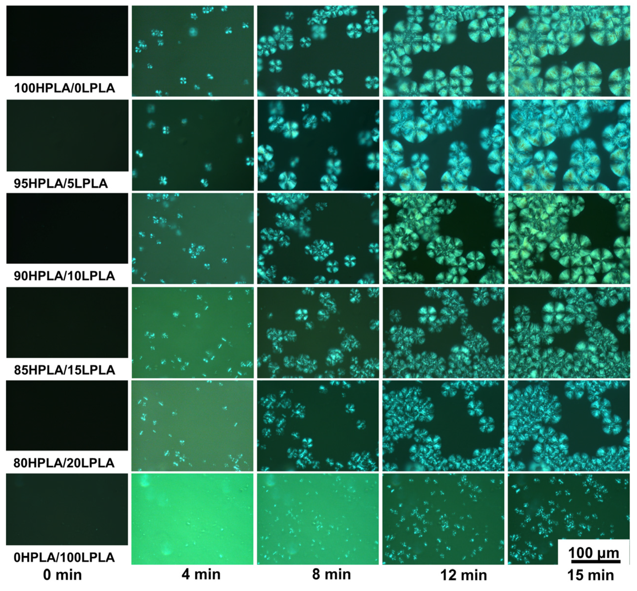 Molecules 29 00169 g004