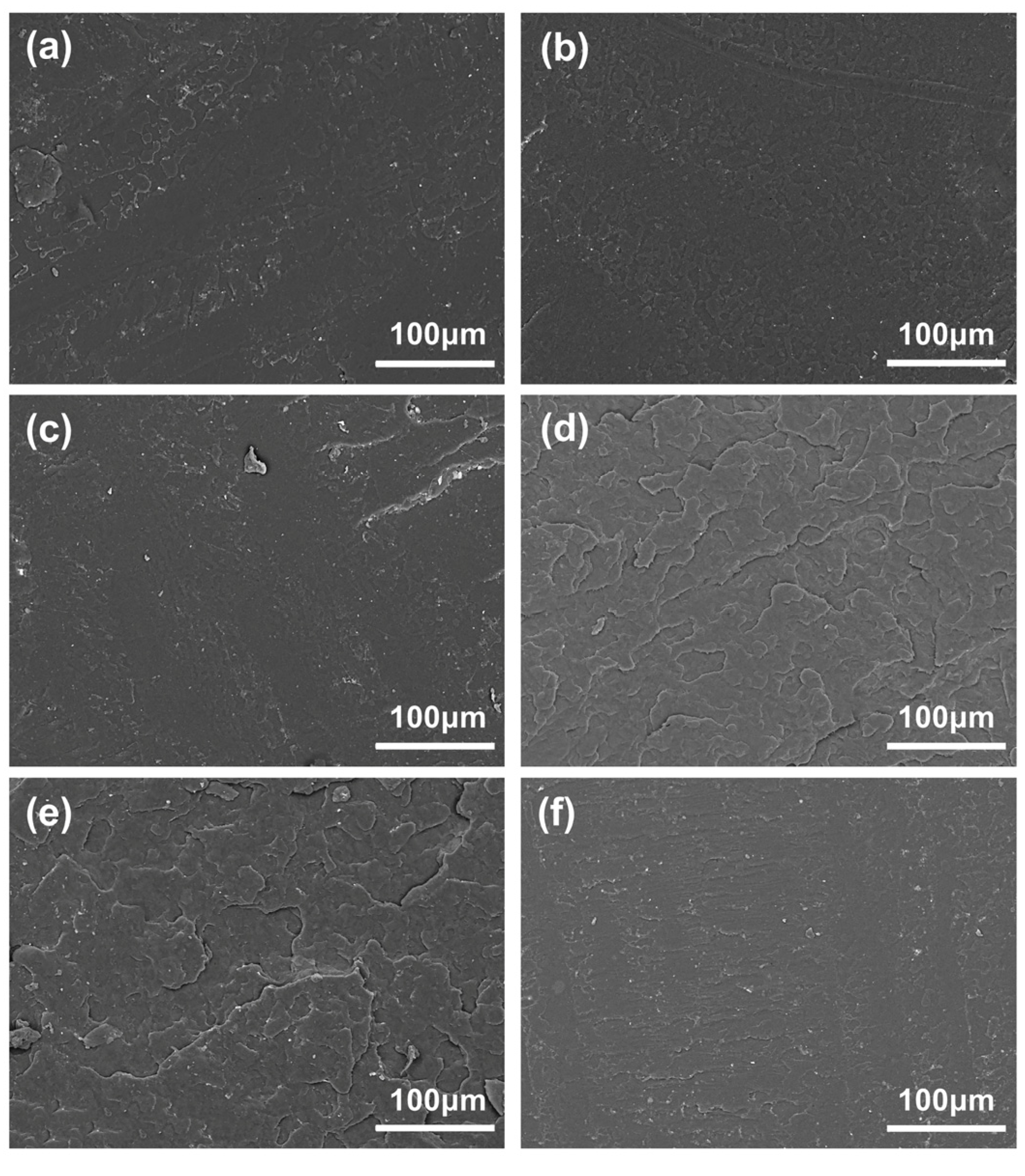 Molecules 29 00169 g006