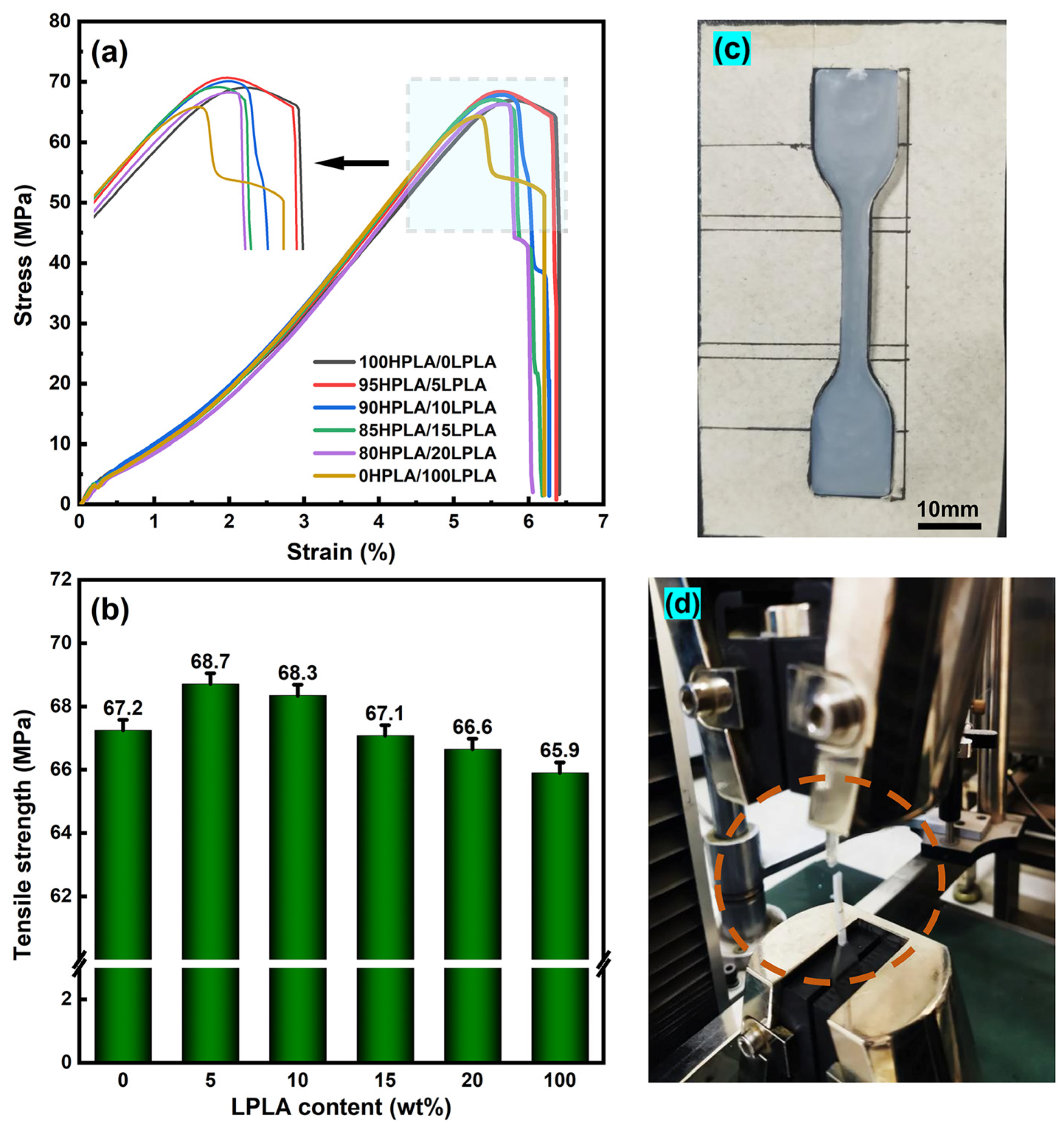 Molecules 29 00169 g007