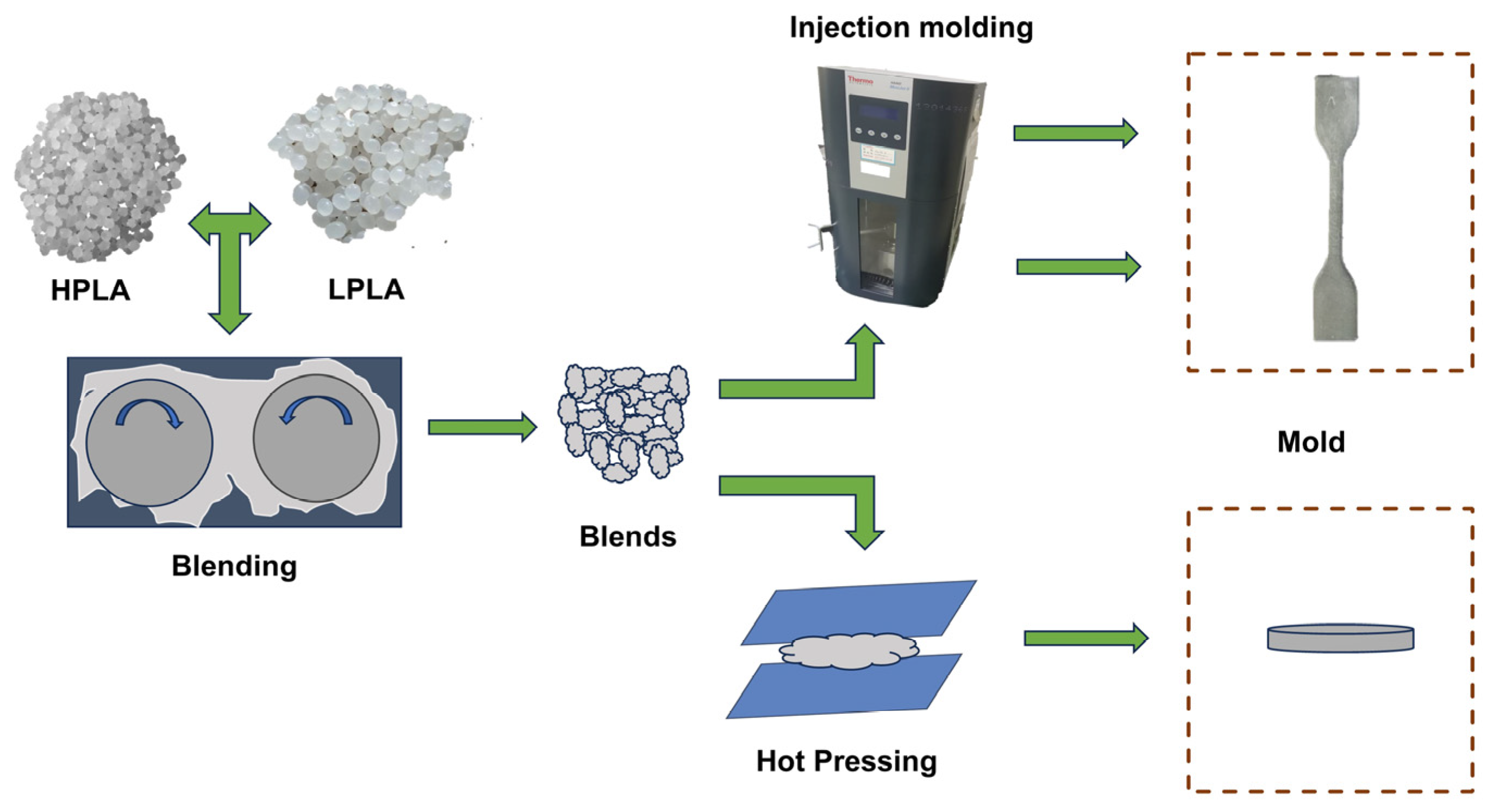 Molecules 29 00169 g009