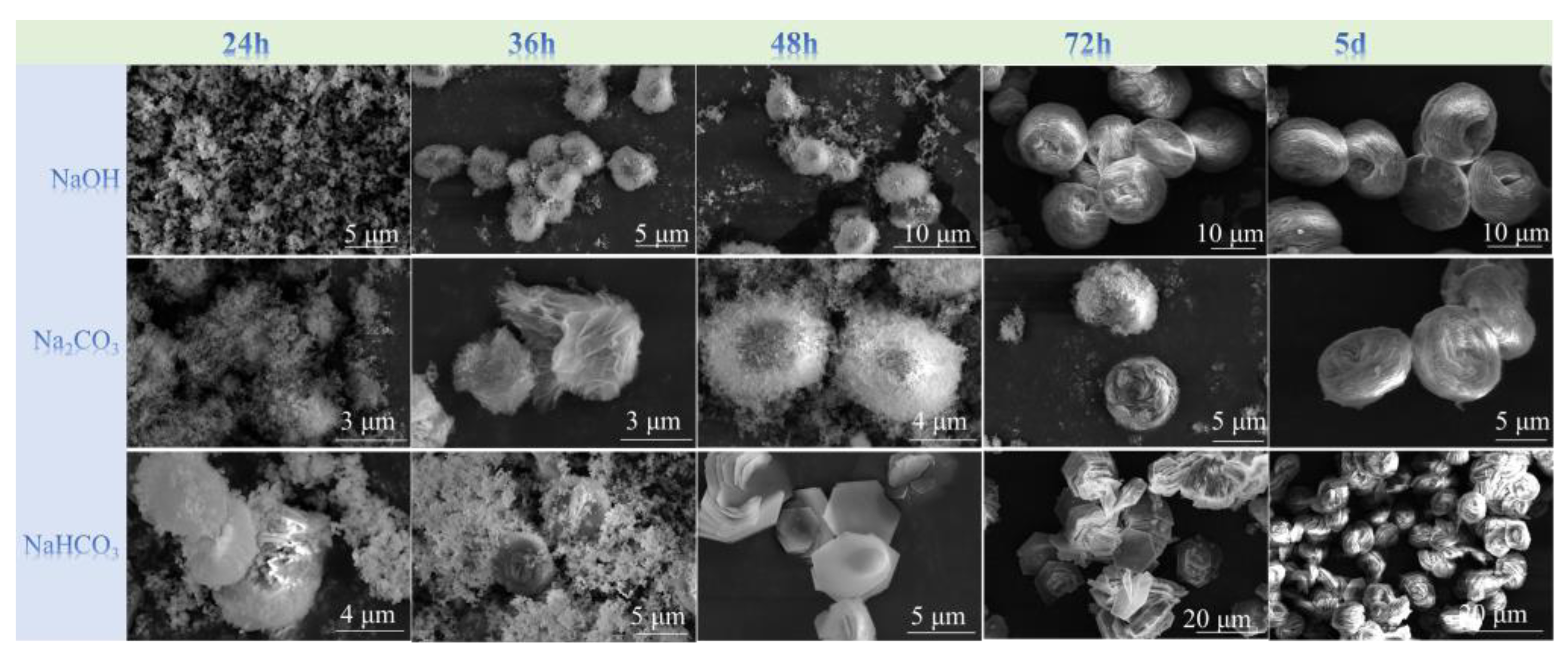Molecules 29 00170 g004