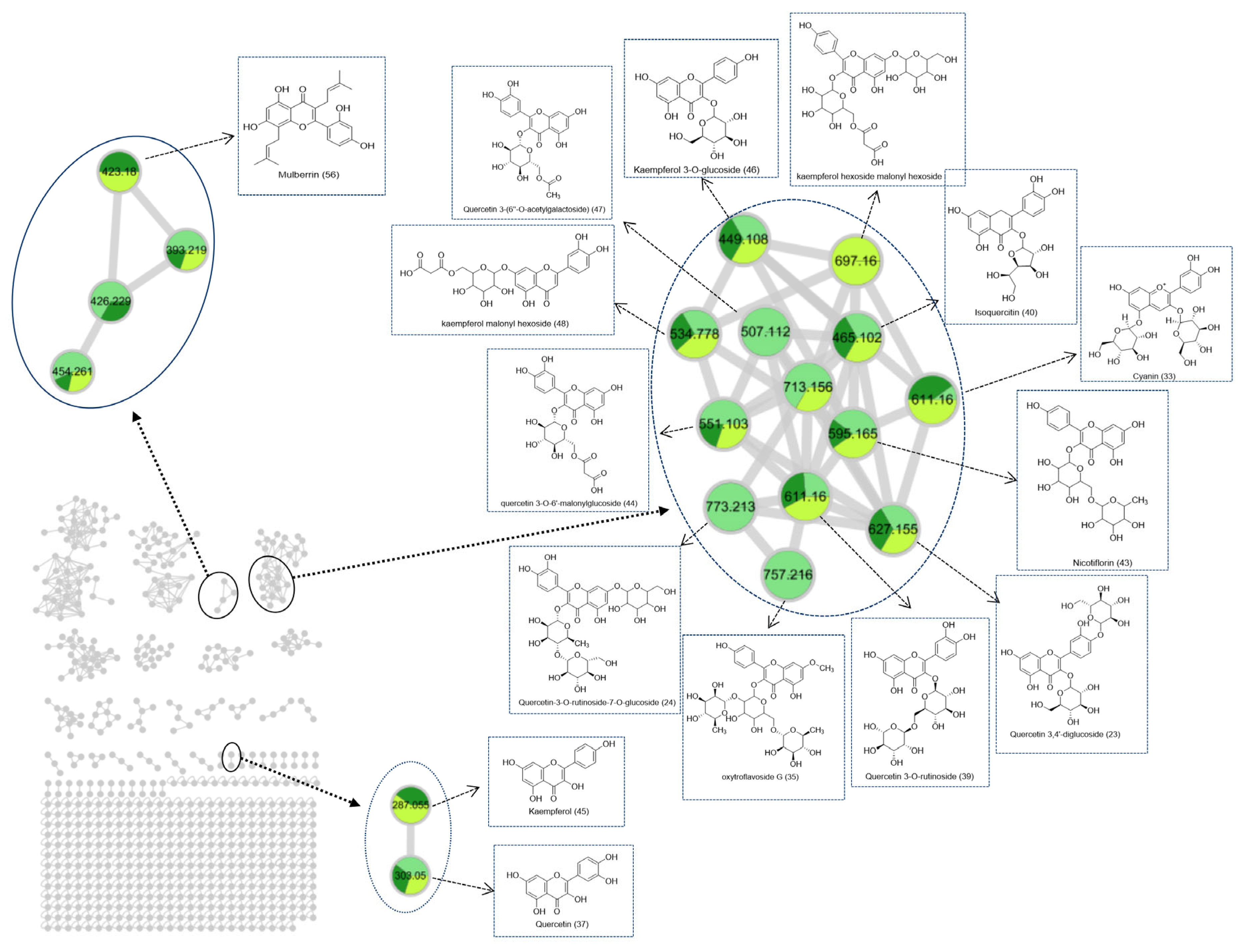 Molecules 29 00171 g004