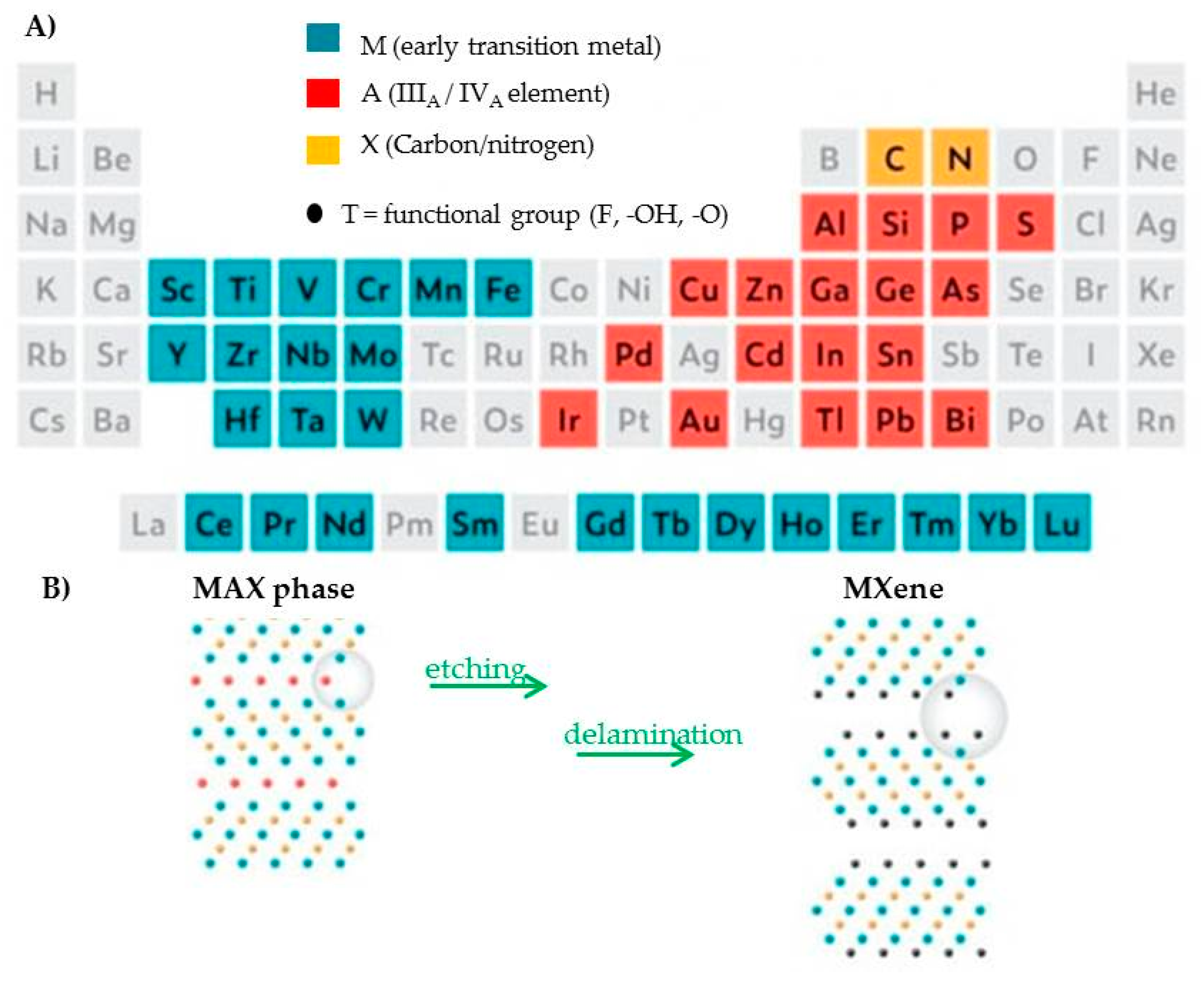 Molecules 29 00172 g001